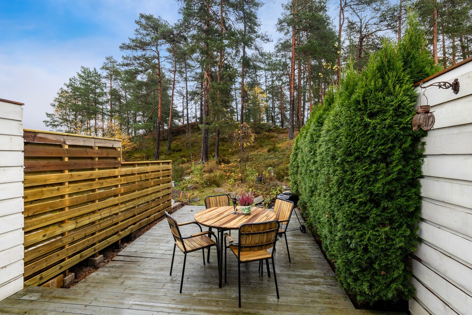 Terrasse med morgensol. Usjenert og med skogen rett ved. Galleribilde
