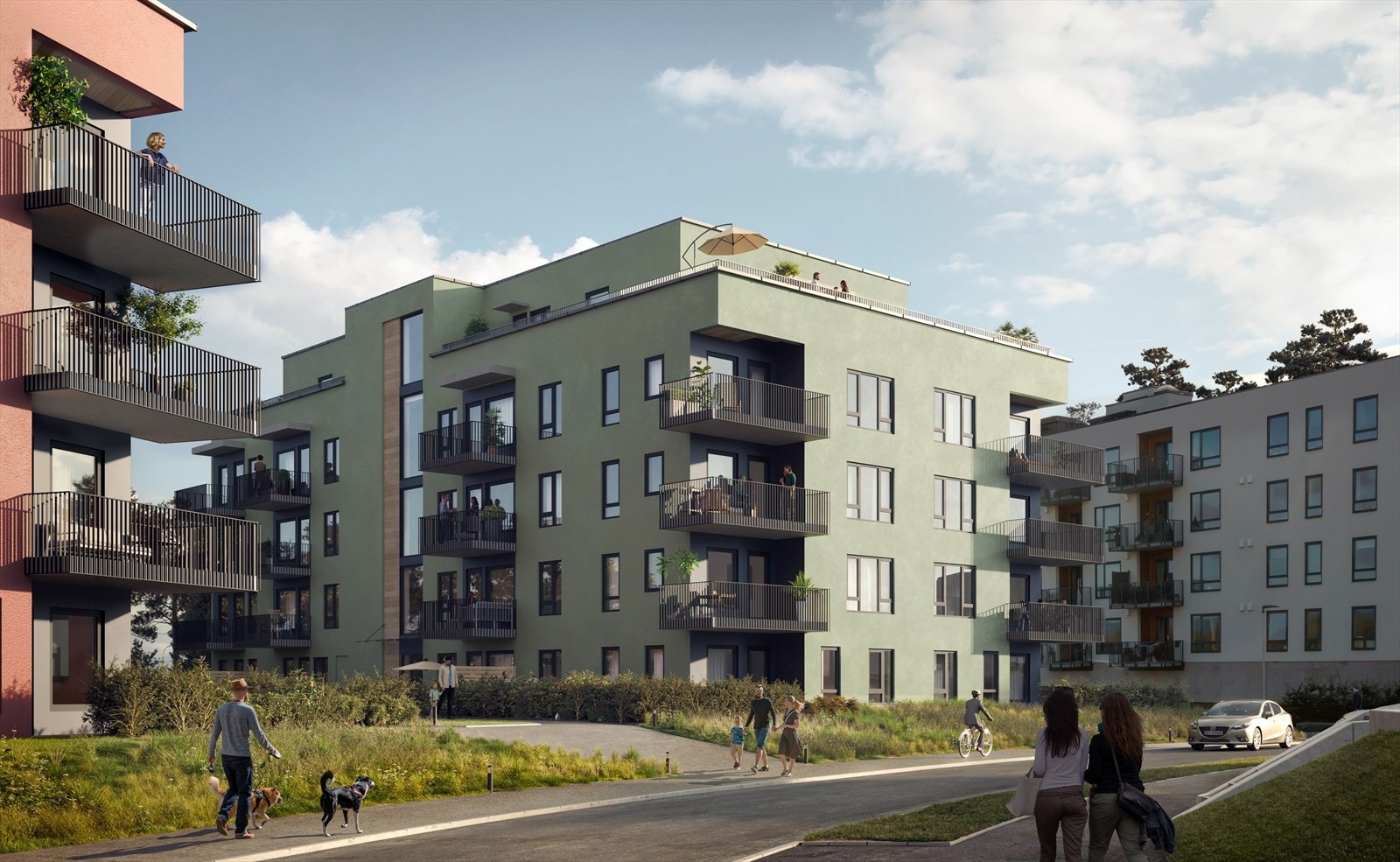 Velkommen til populære Råholtåsen! Galleribilde