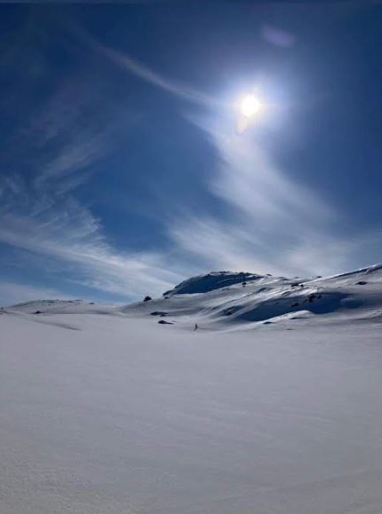 Selgers eget bilde Galleribilde