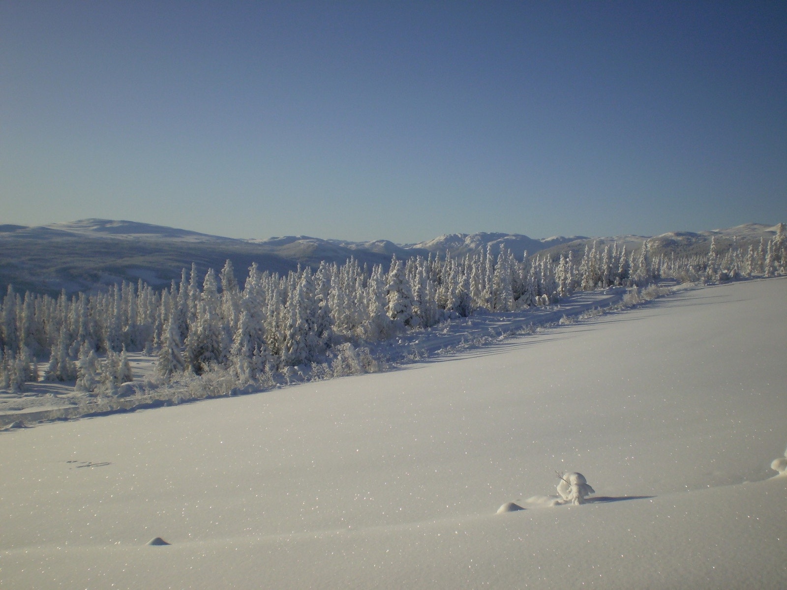 Bilde fra annen årstid Galleribilde