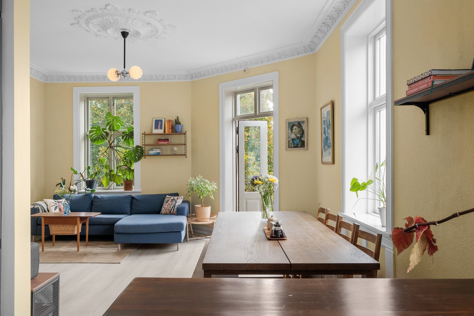 God takhøyde på opptil 3 meter. Galleribilde