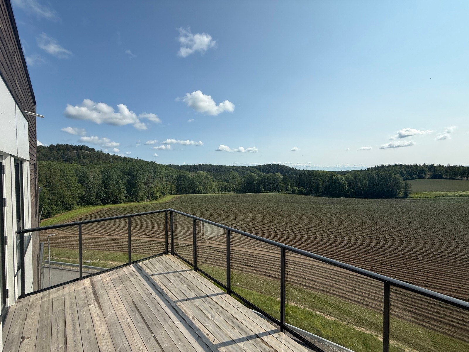 IMG_3815 Galleribilde