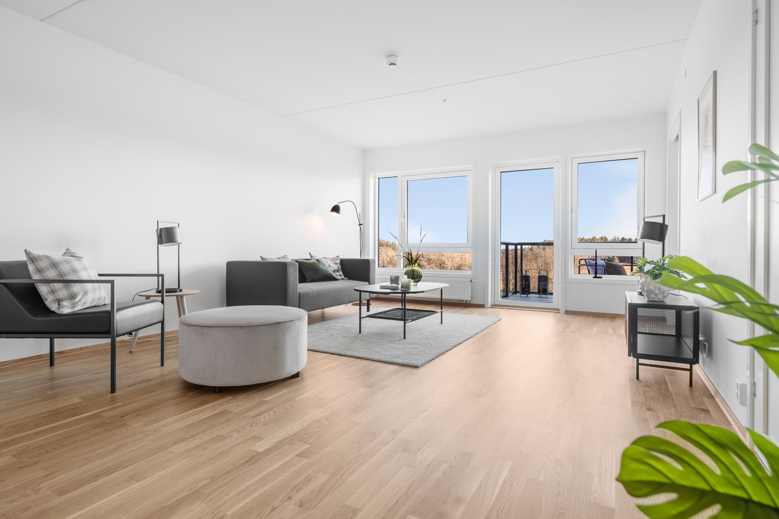 Mye lysinnslipp! Galleribilde