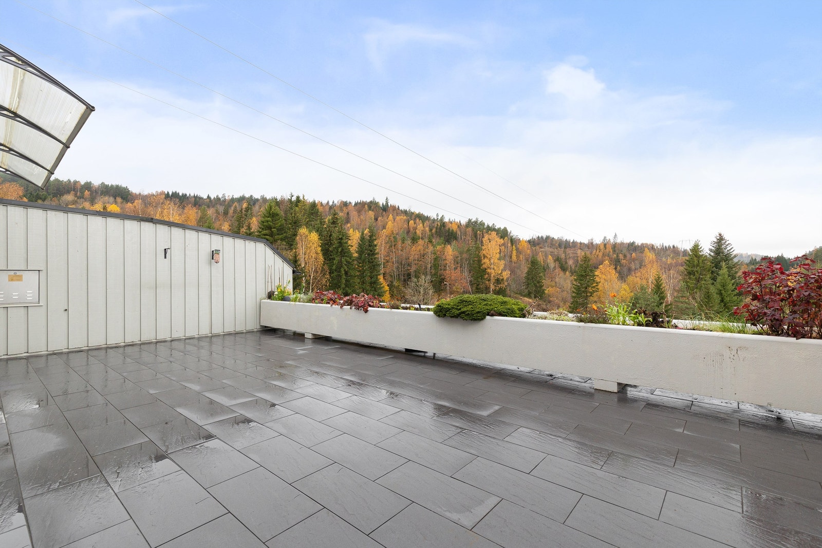 Her er det god plass til flere soner Galleribilde