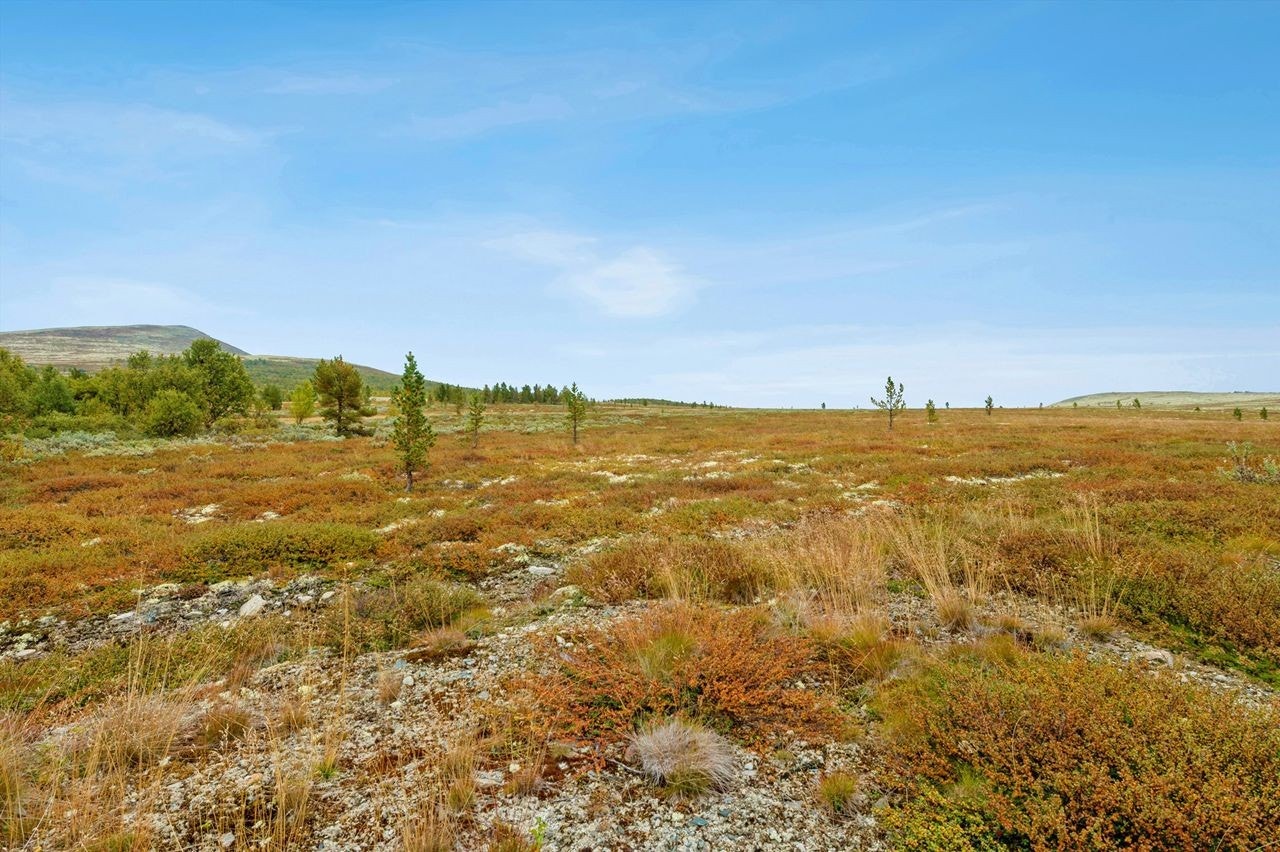Området byr på storslått natur og umiddelbar nærhet til turstier. Galleribilde