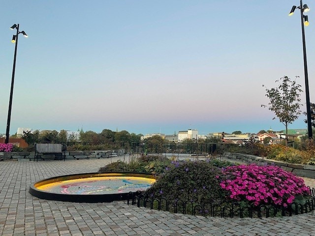 Tivolifjellet Galleribilde