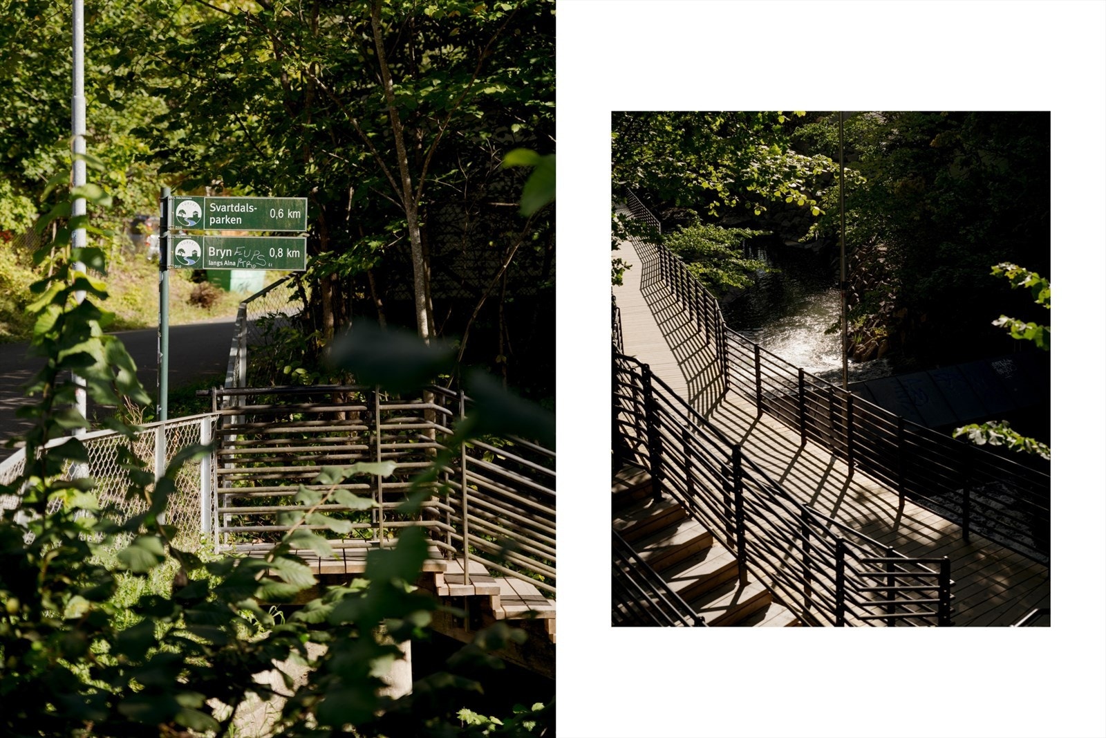 Svartdalsparken er et grønt og fredelig parkområde langs Alnaelva, hvor du kan oppleve natur, dyreliv og historie - midt i Oslo. Galleribilde