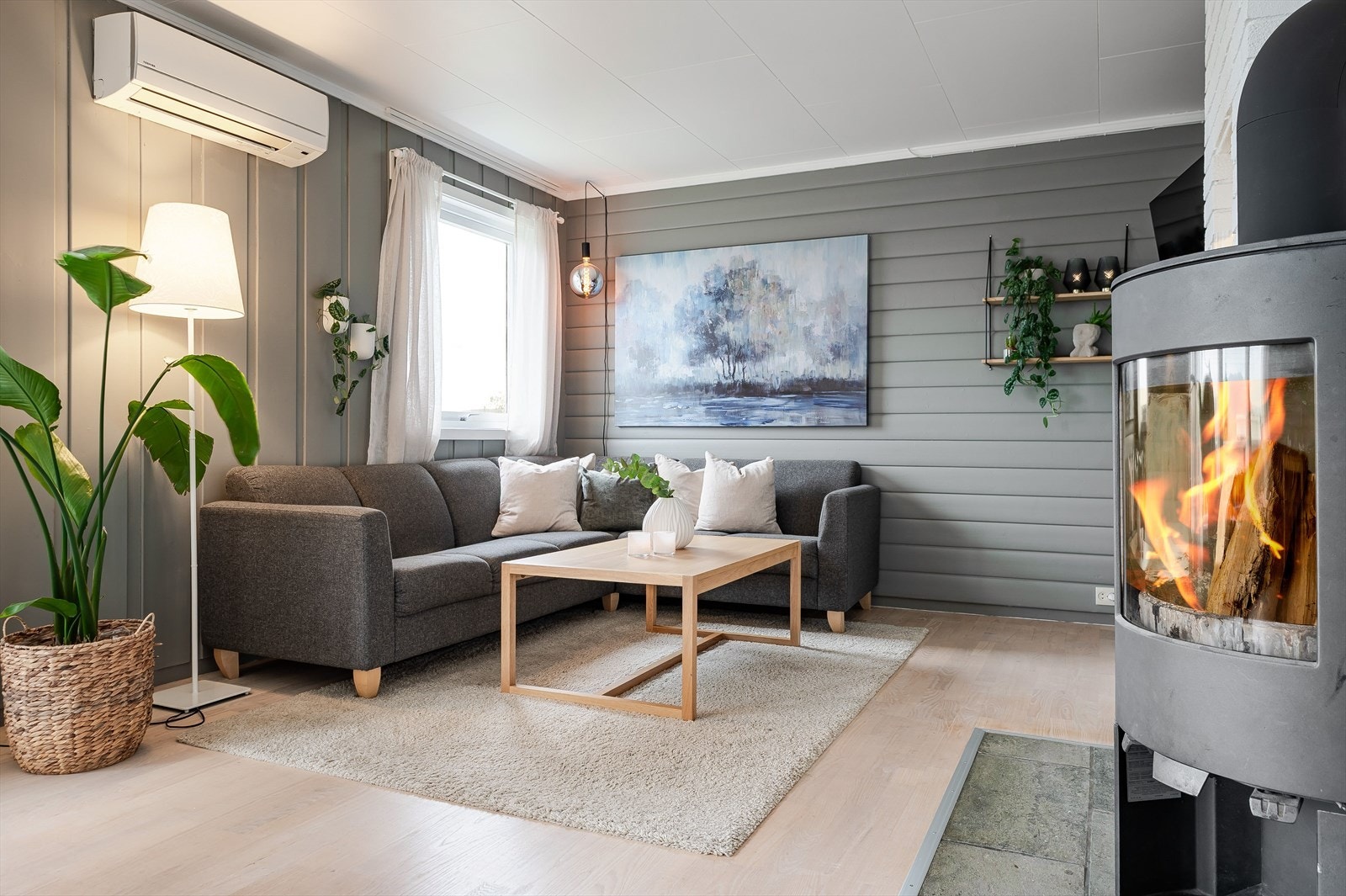 3163-3-1_061.jpg Galleribilde