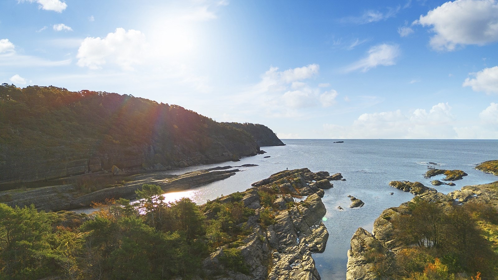 Velkommen til visning! Galleribilde