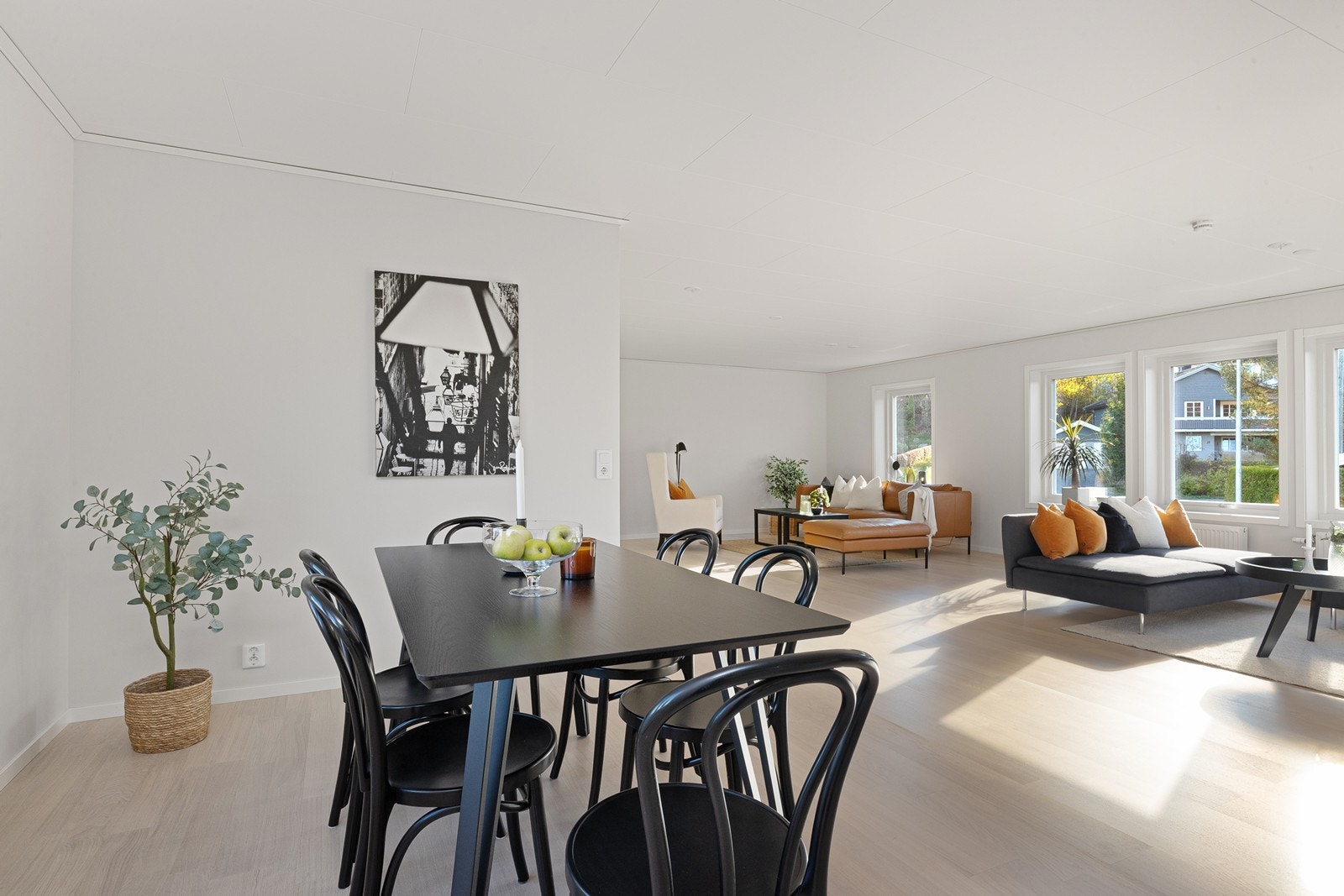 1DX31953 Galleribilde