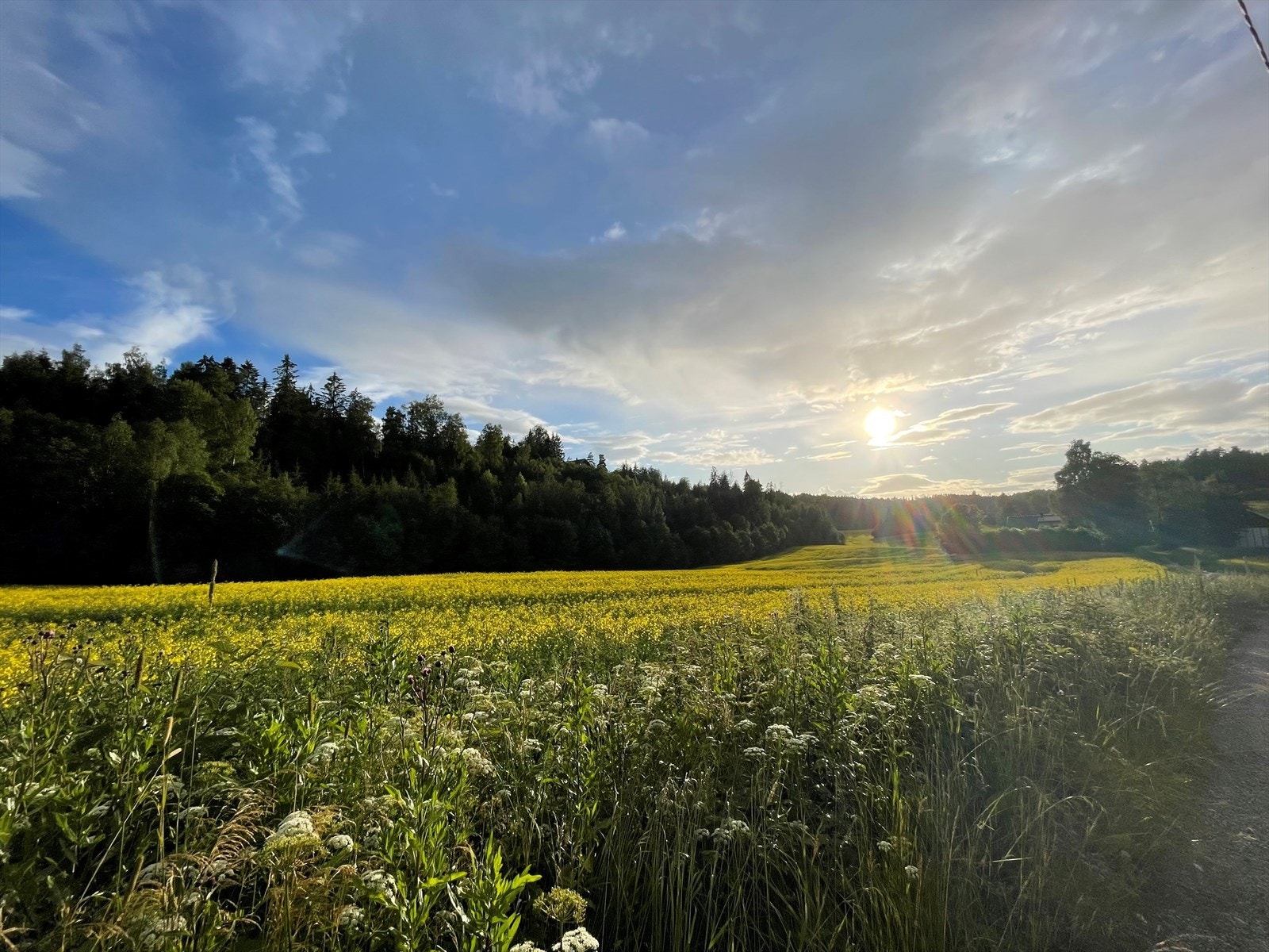 Eiendommen ligger usjenert til i landlige omgivelser med kun få minutter i bil til Ski stasjon eller Langhus. Galleribilde