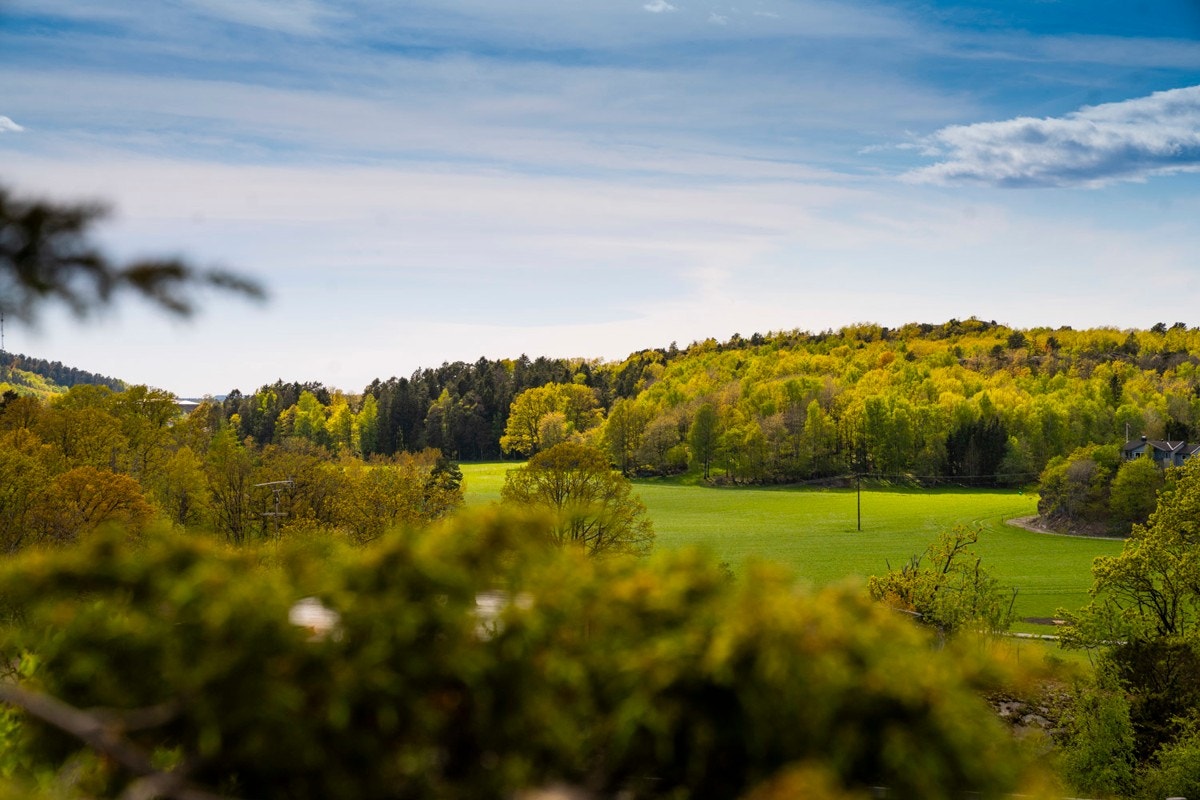 Her kan du hvile øynene utover flott natur Galleribilde