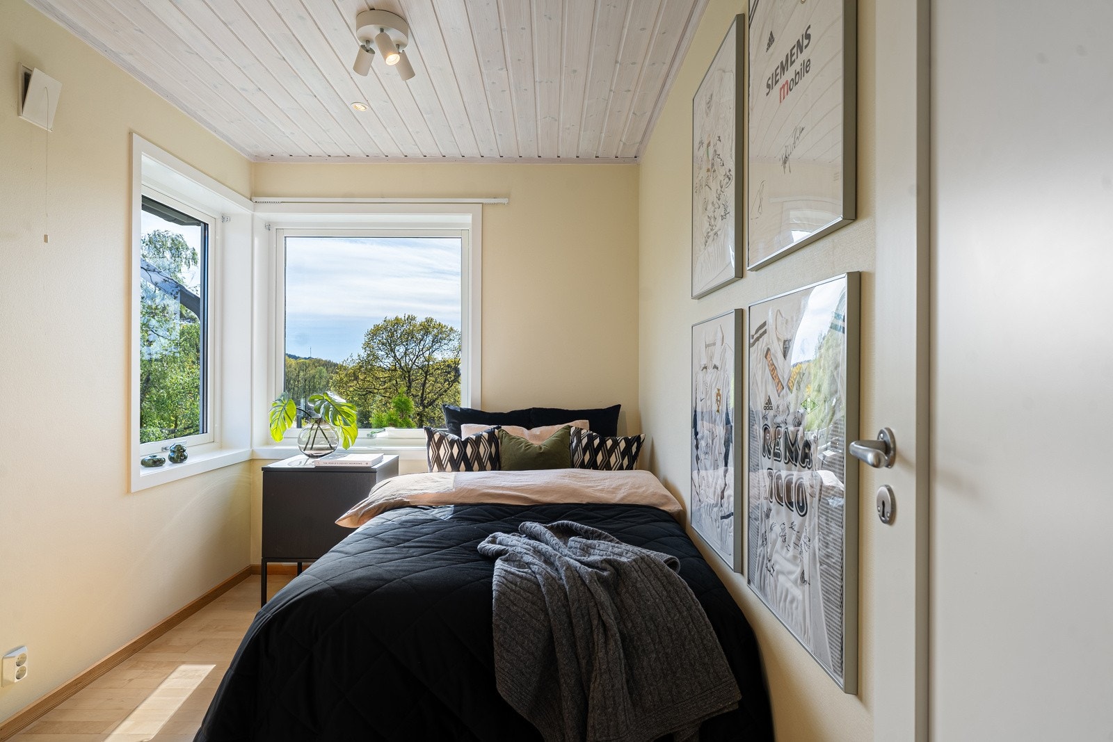 Soverom Galleribilde