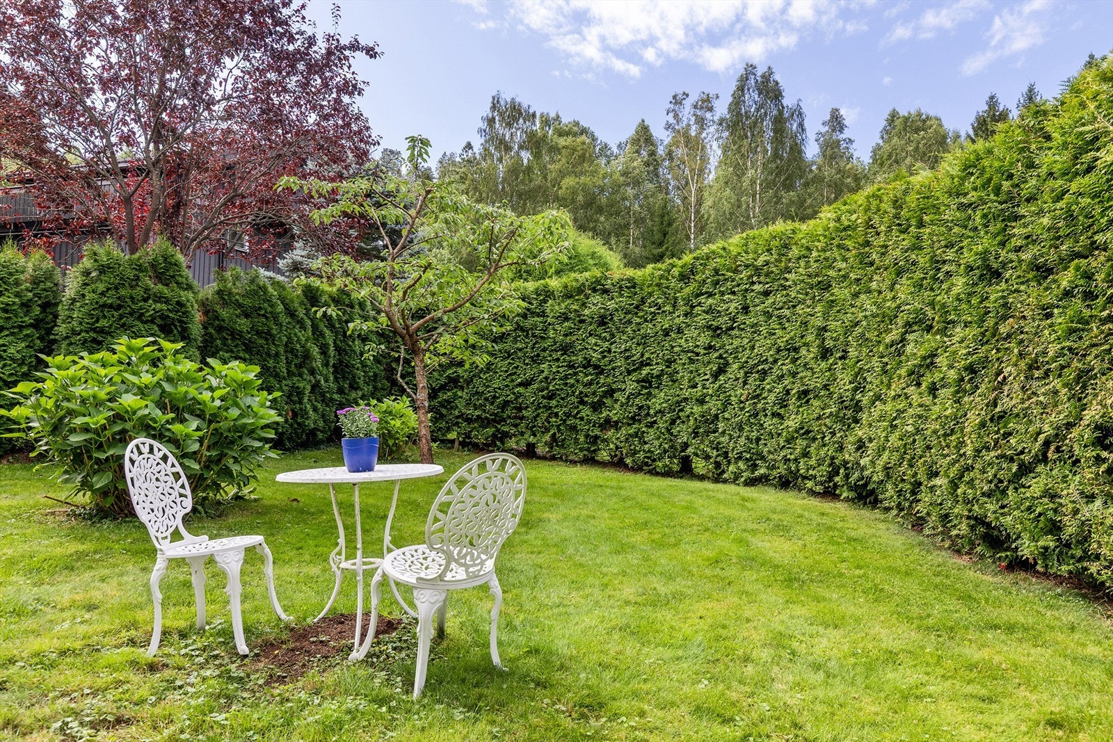 Pent opparbeidet og solrik hage på baksiden av boligen. Pen hekk opparbeidet rundt hagen slik at man får mindre innsyn Galleribilde