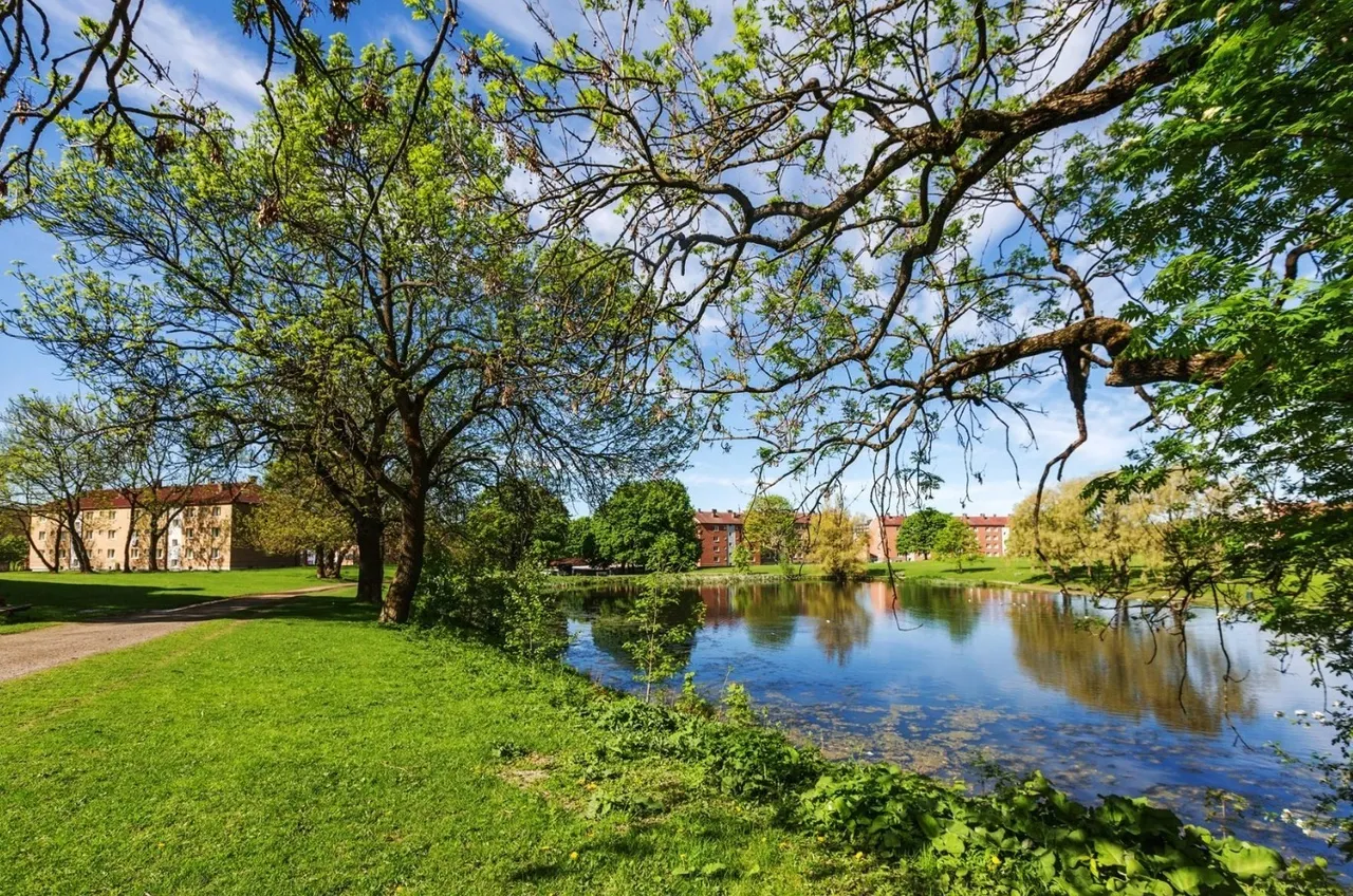 Hovindammen ligger noen få minutter unna. Galleribilde