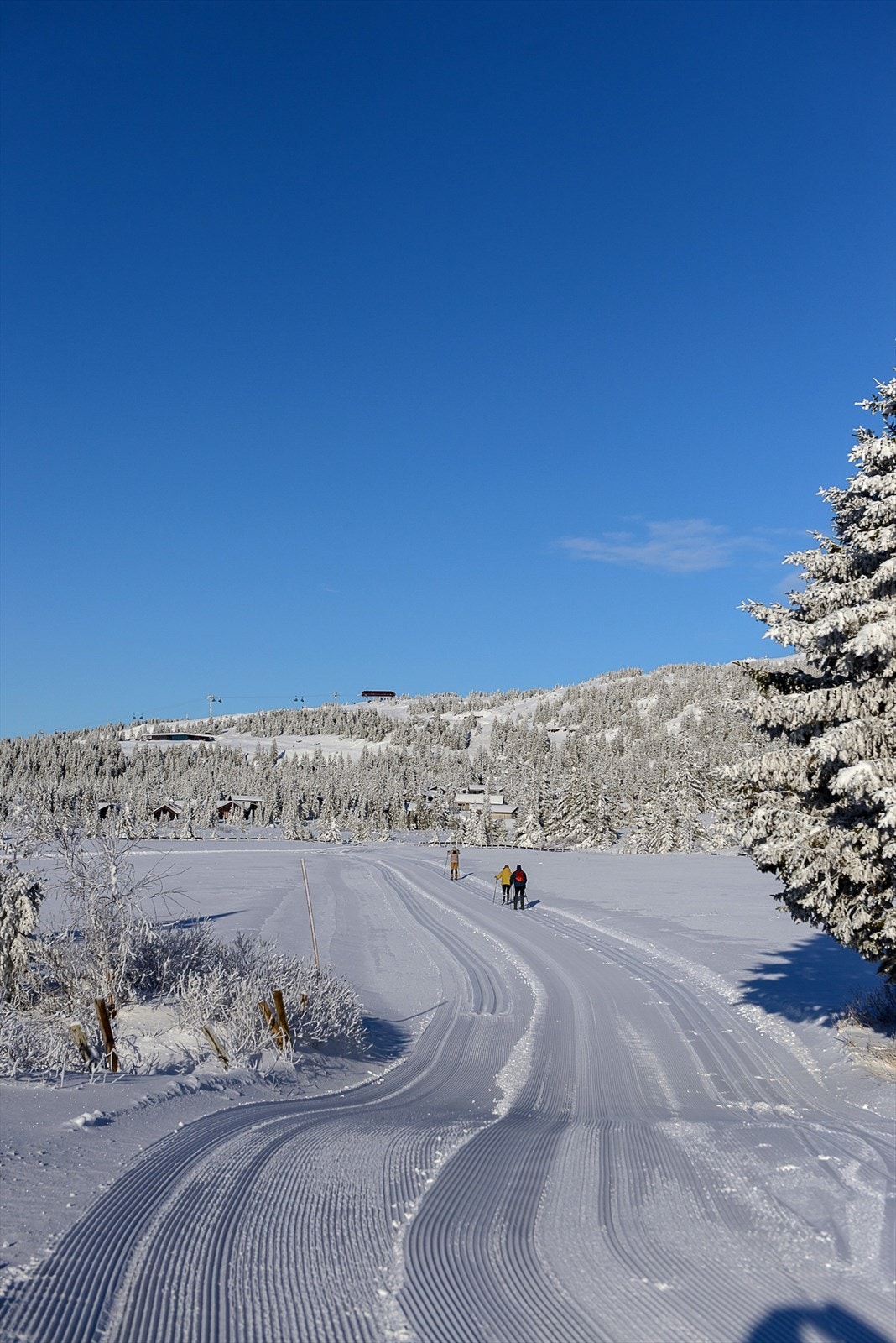De oppkjørte langrennsløypene går rett utenfor leilighetene - enklere kan det ikke bli!! Galleribilde