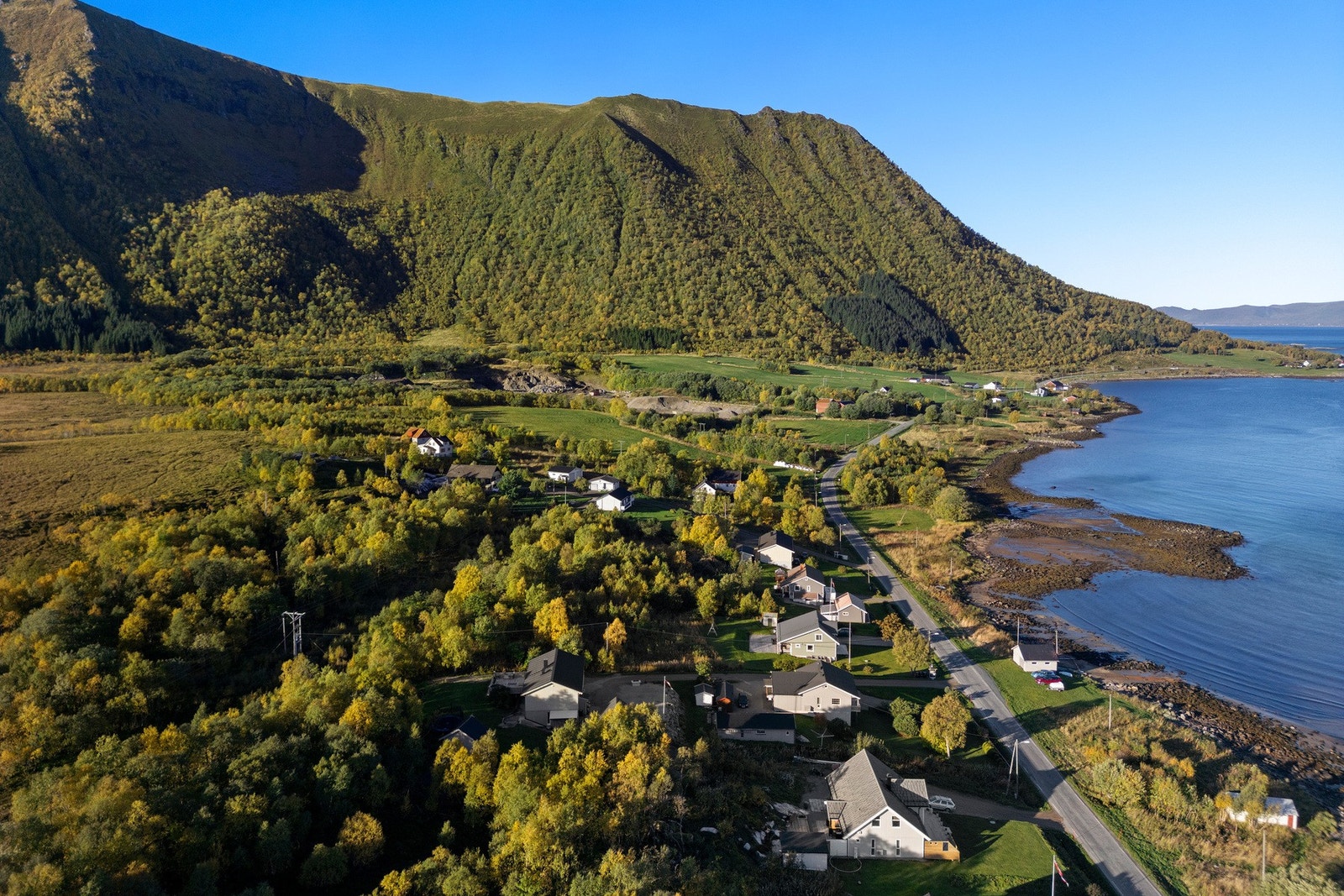 Velkommen til hyggelig visning! Galleribilde