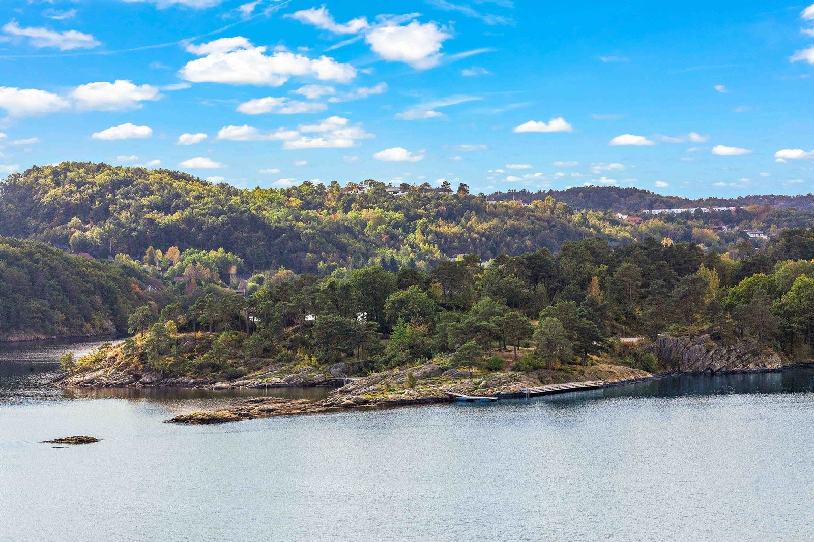 Utsikt. Galleribilde