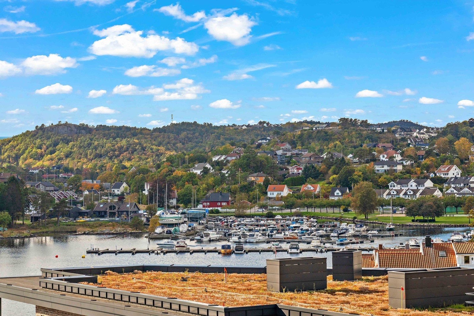 Utsikt. Galleribilde