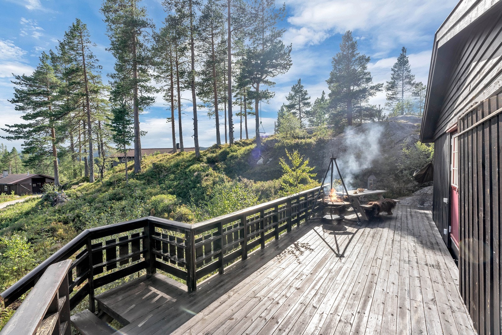 Blåbærskog rett utenfor terrassen Galleribilde