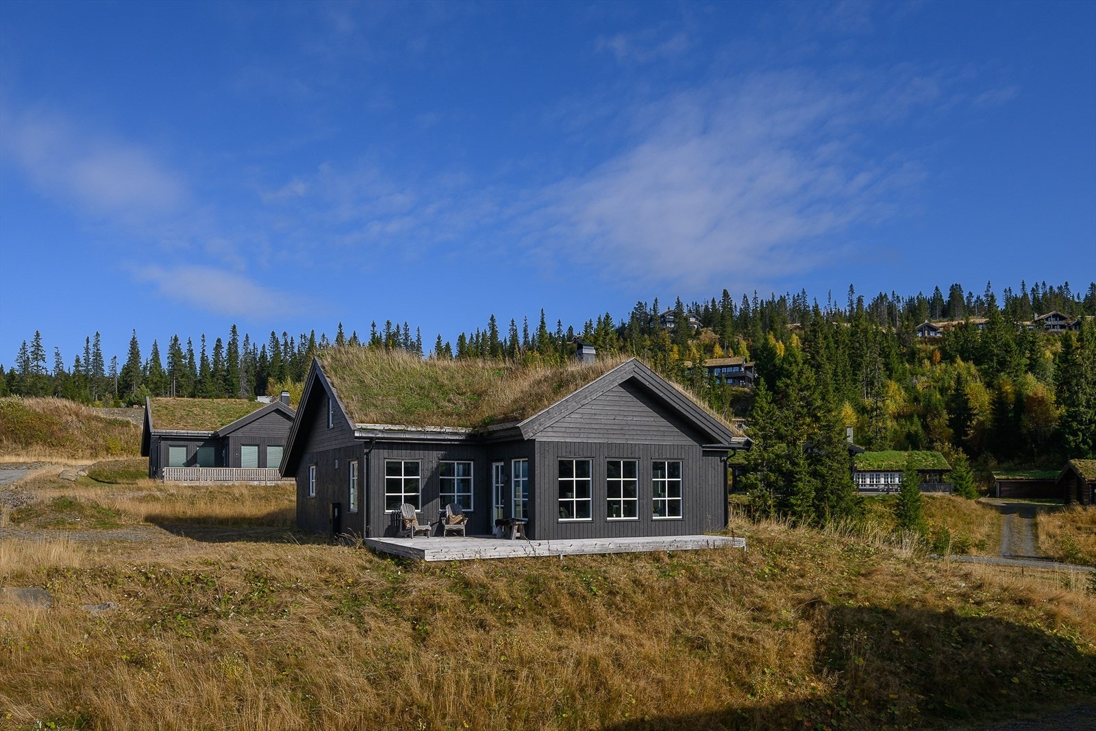 Klassisk hytte med torvtak. Galleribilde