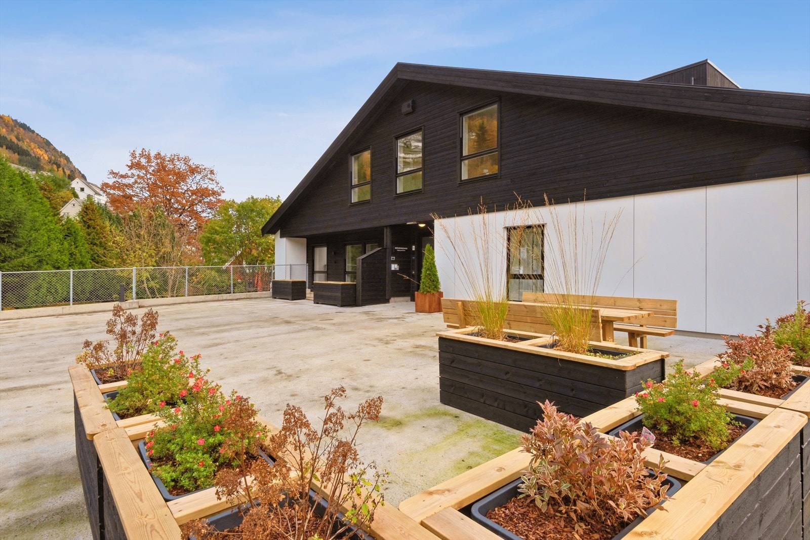 Velkommen til visning! Galleribilde