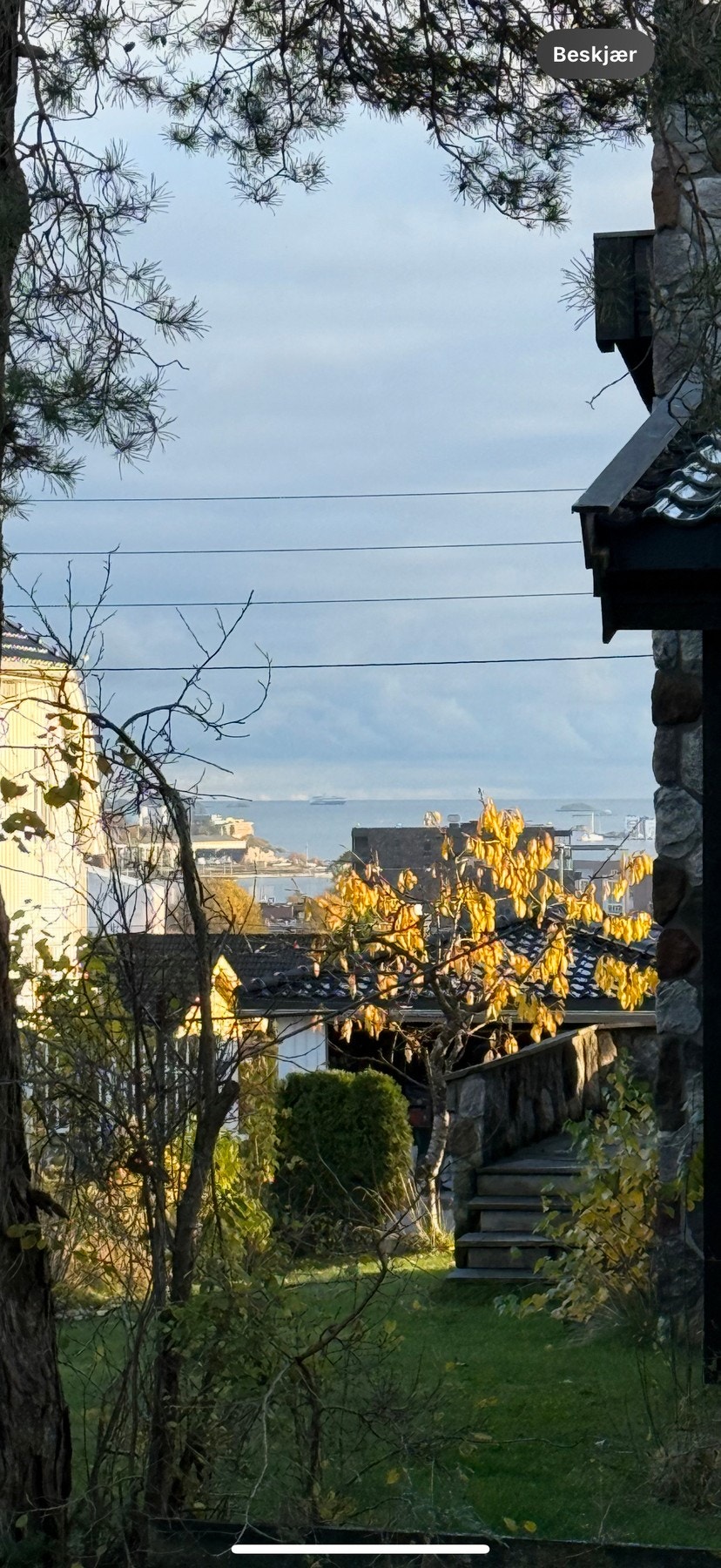 Gløtt av fjorden fra øst Galleribilde