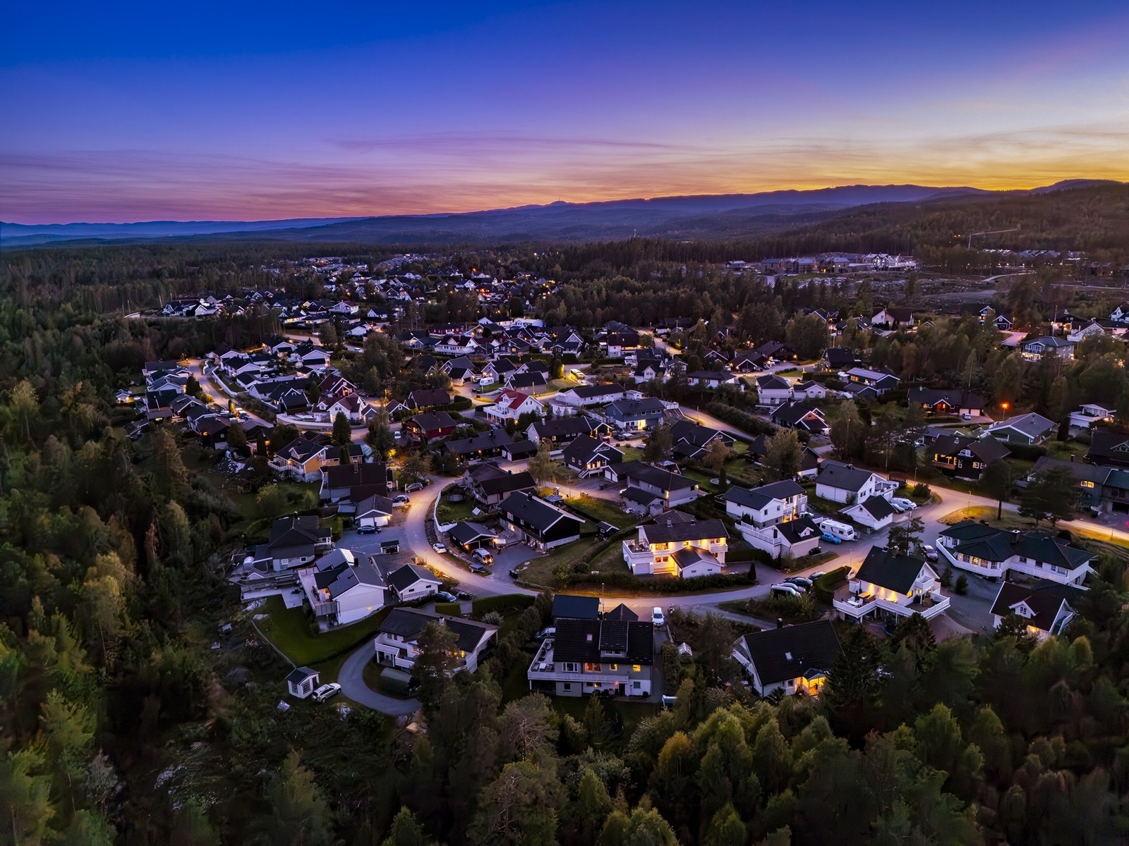 Nærområdet. Galleribilde