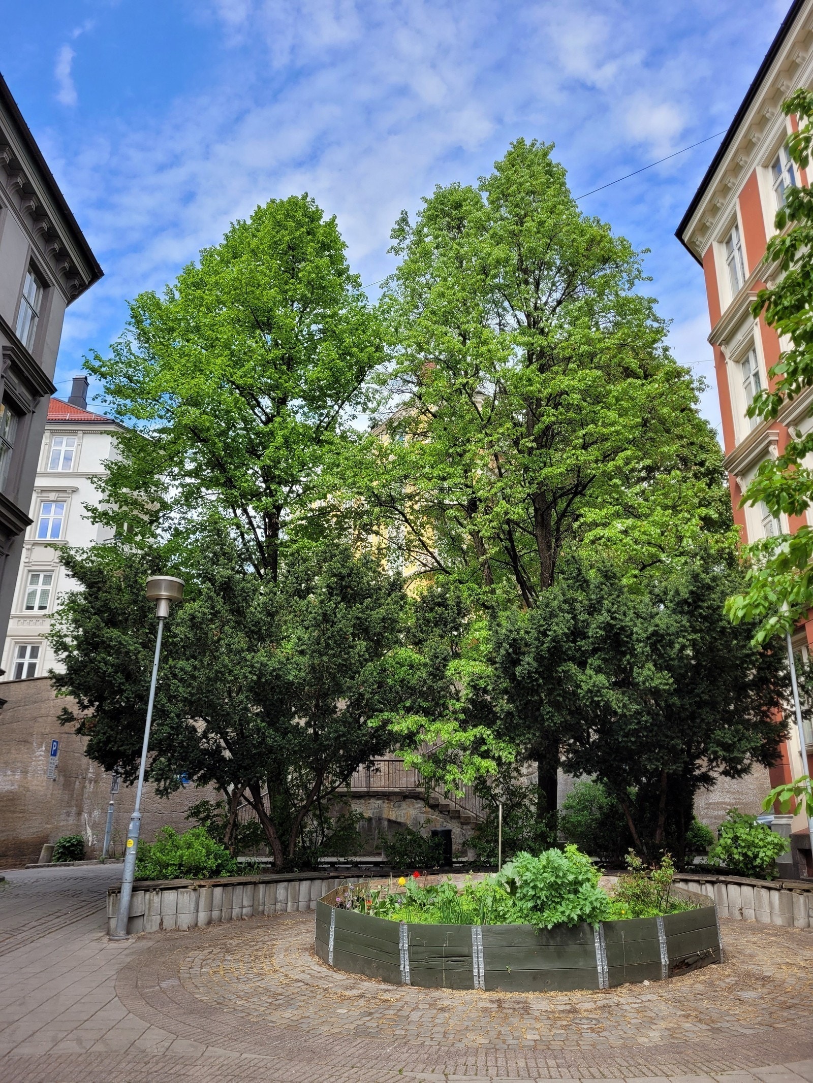 Gatetun Galleribilde