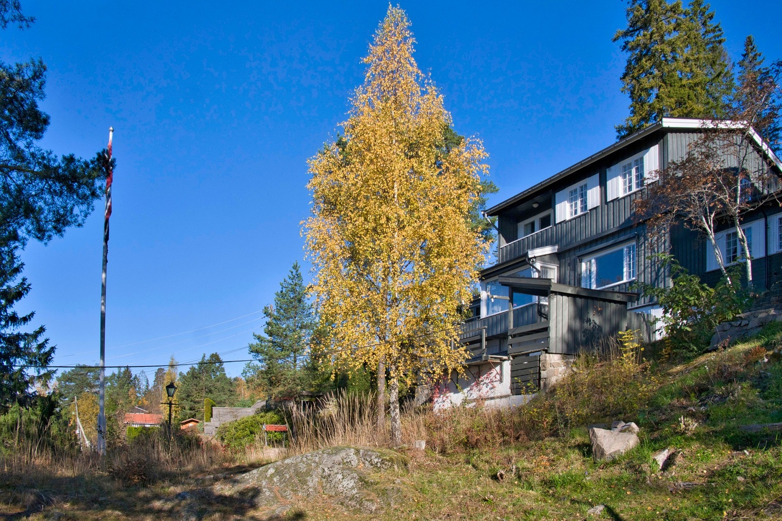 Høyt og frittliggende naturtomt. Galleribilde