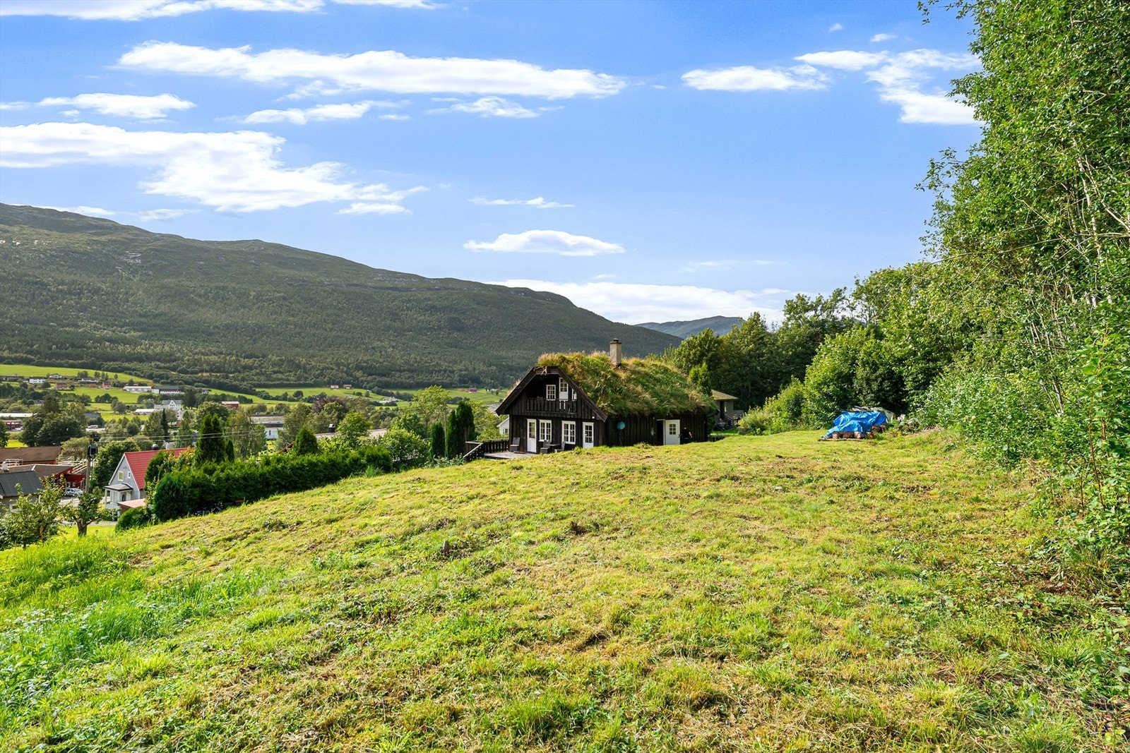 Sjarmerende bolig med gresstak. Galleribilde