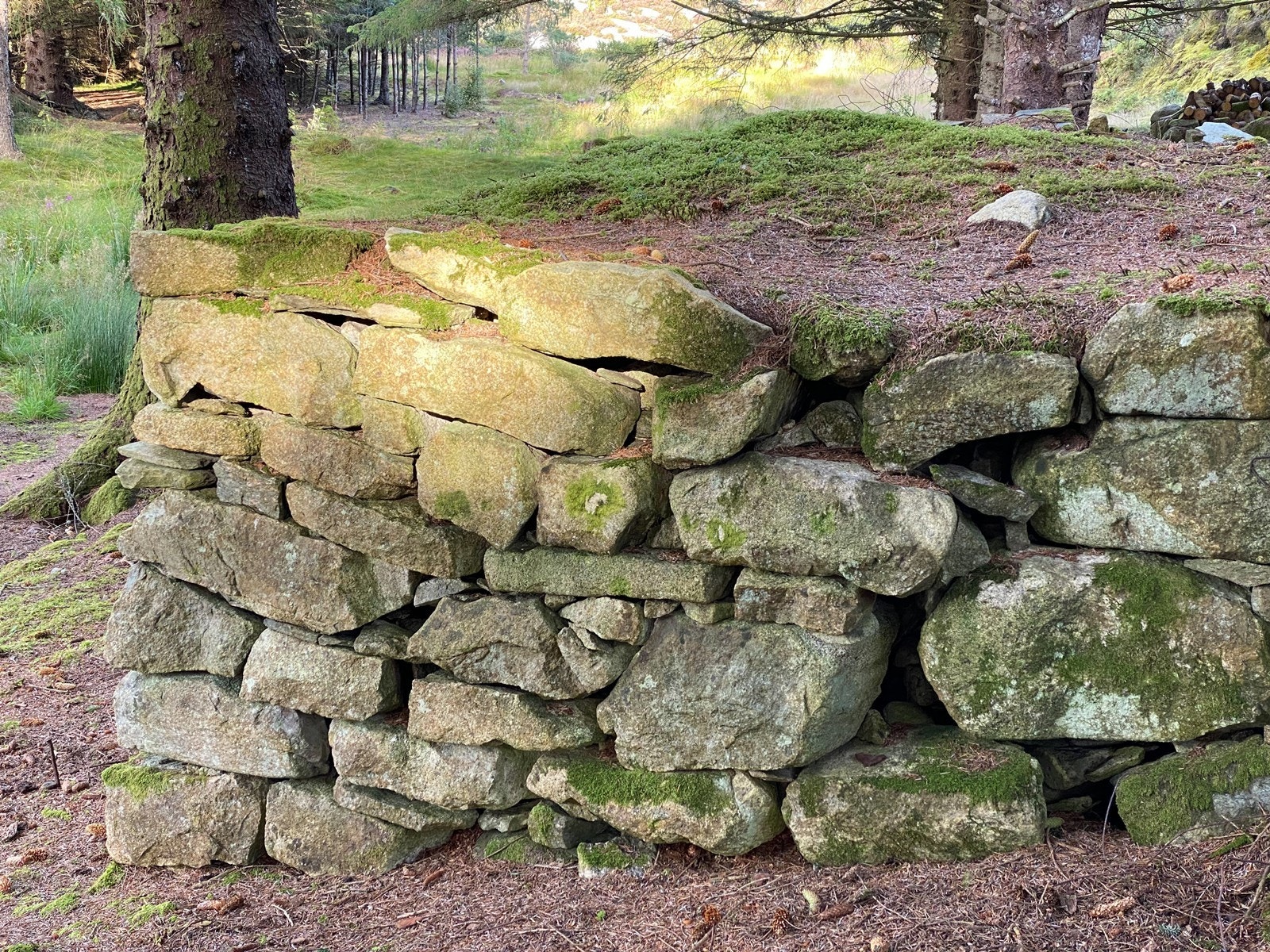 Fleire gamle grunnmurar på Stora Klakksøy Galleribilde