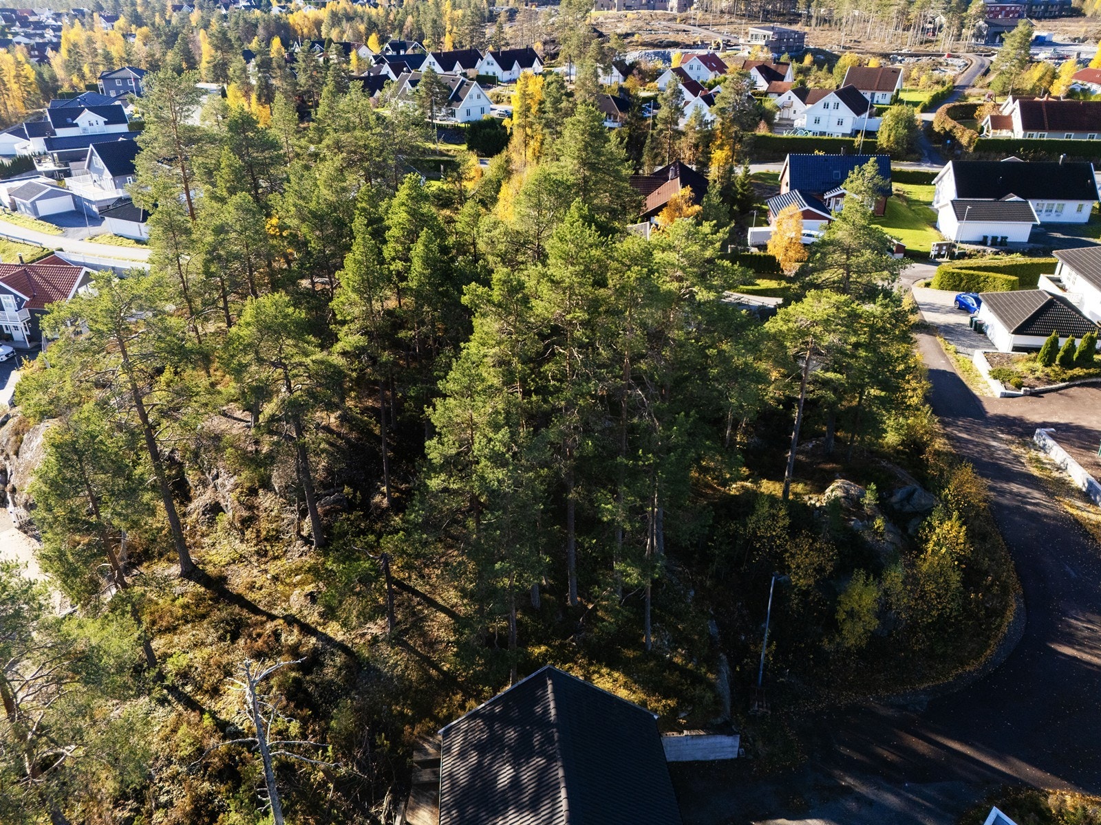 Tomten er regulert for frittliggende enebolig med tillatelse for garasje - perfekte rammer for å realisere boligdrømmen. Galleribilde