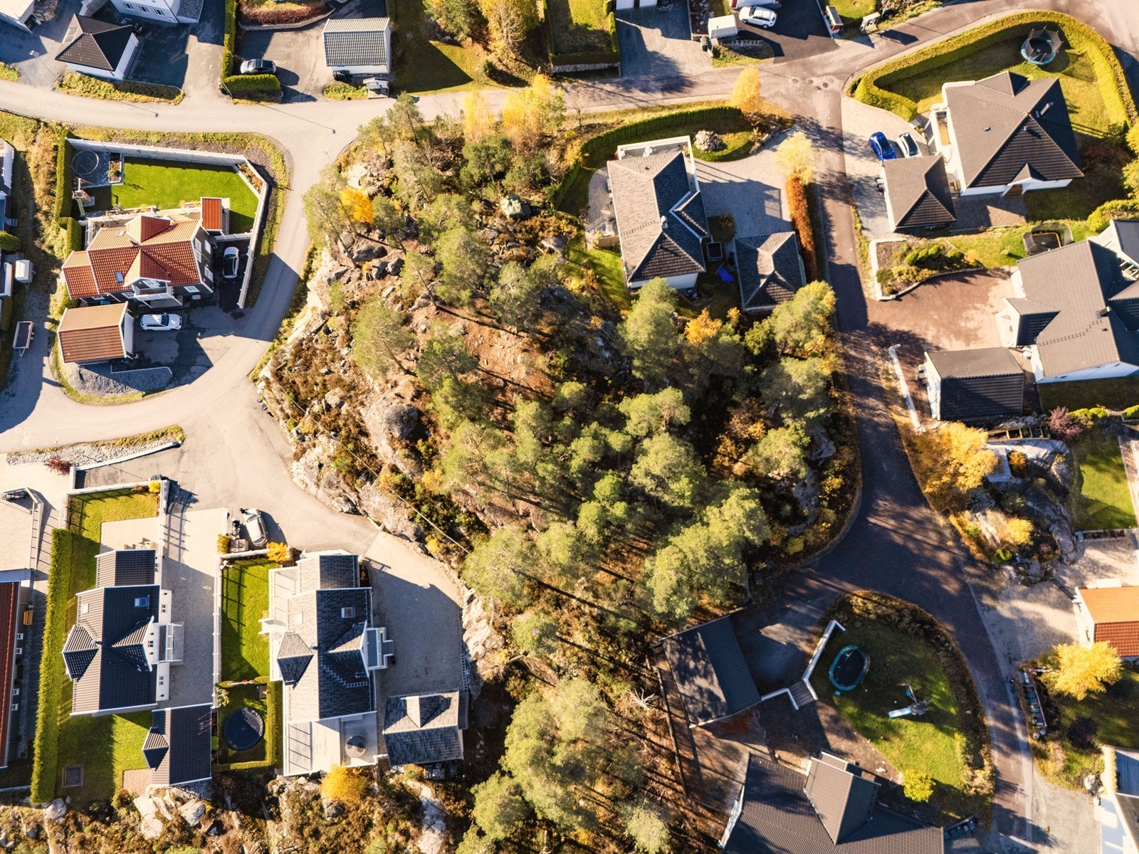 Velkommen til Sisiken 11! Galleribilde