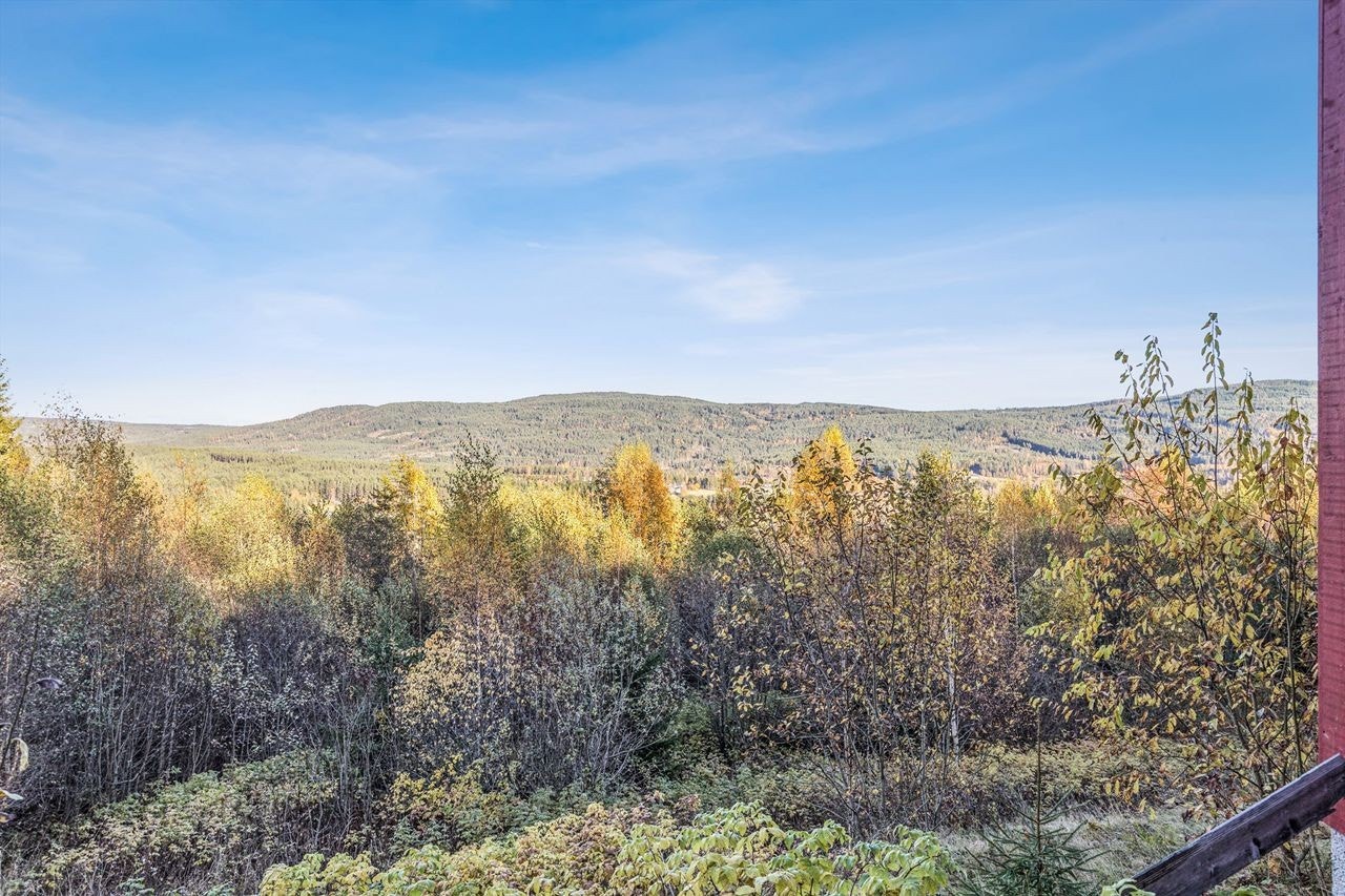 Nord-Odal er et eldorado for friluftsentusiaster! Galleribilde