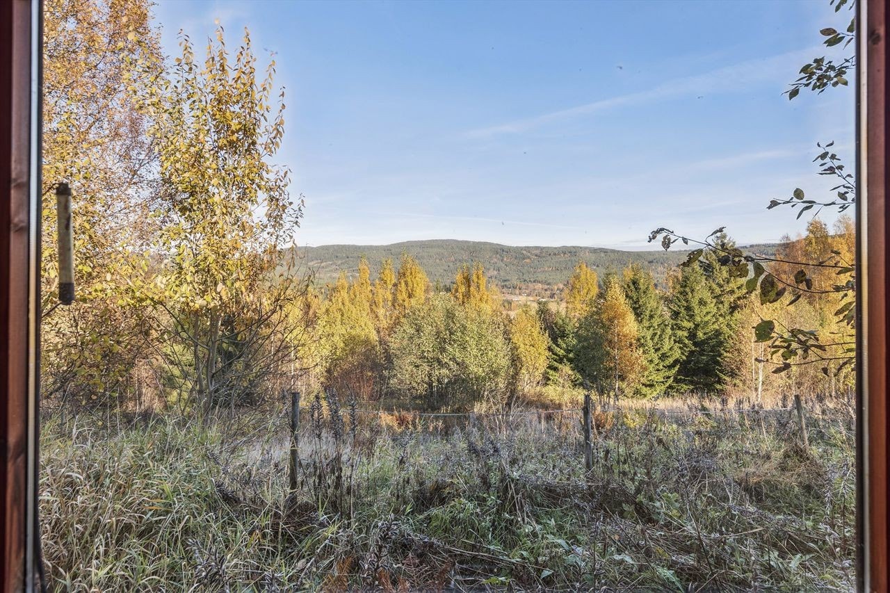 Gode lys- og utsiktsforhold, med beliggenhet på et lite høydedrag. Galleribilde