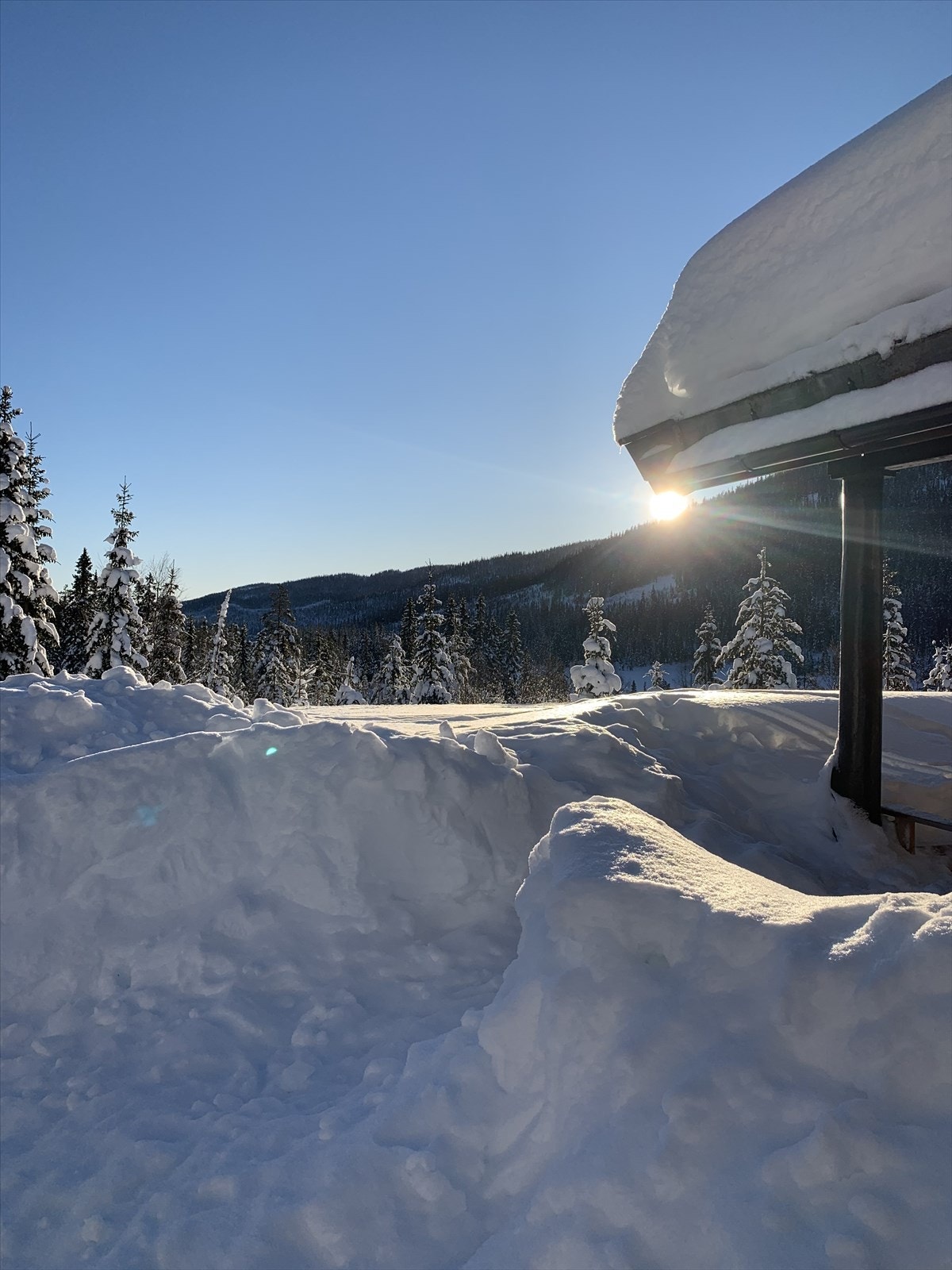 Privat bilde Galleribilde