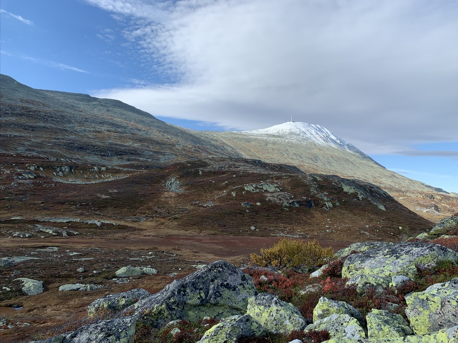 Privat bilde Galleribilde