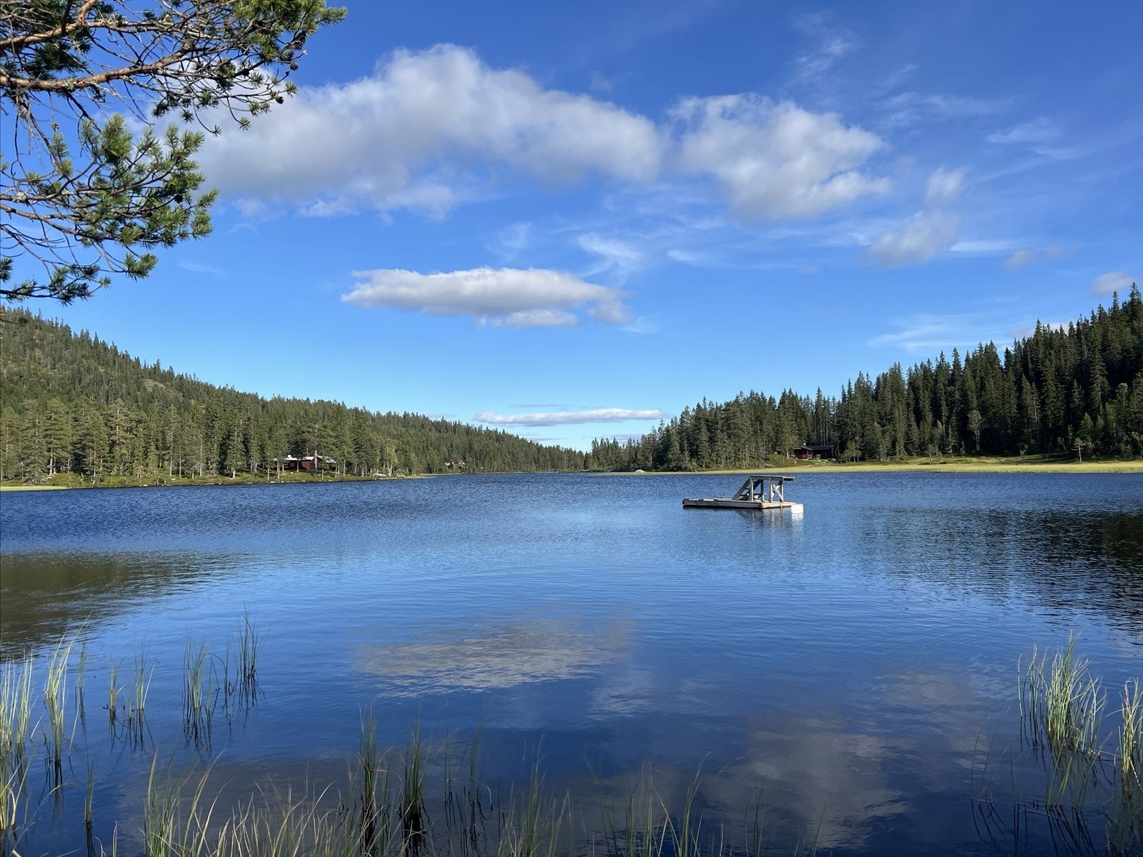 Privat bilde - Badebrygge og badeplasser rundt vannet kan benyttes av store og små. Perfekt for et friskt bad etter tur, eller for å sole seg og nyte utsikten. Galleribilde