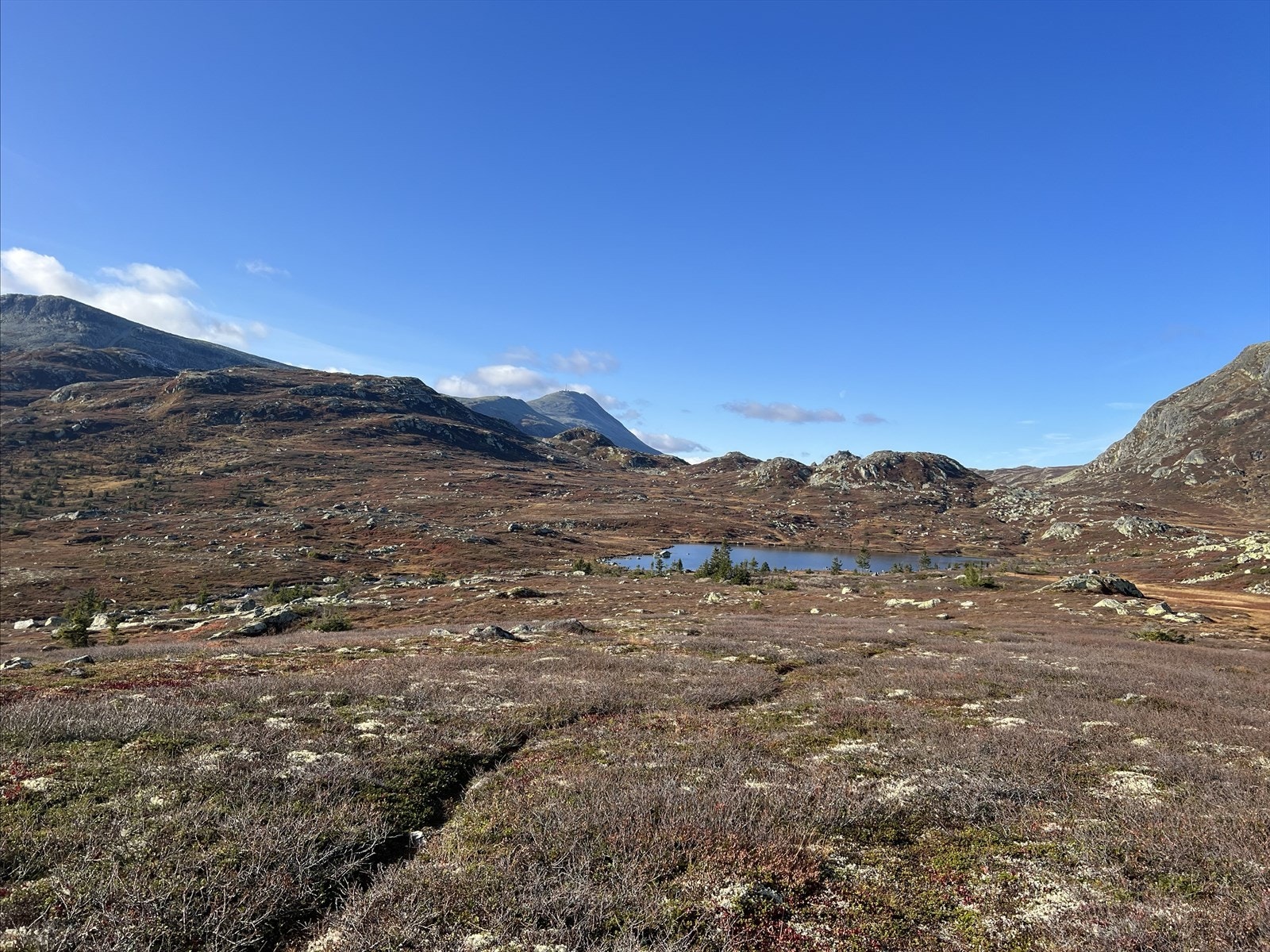 Privat bilde Galleribilde