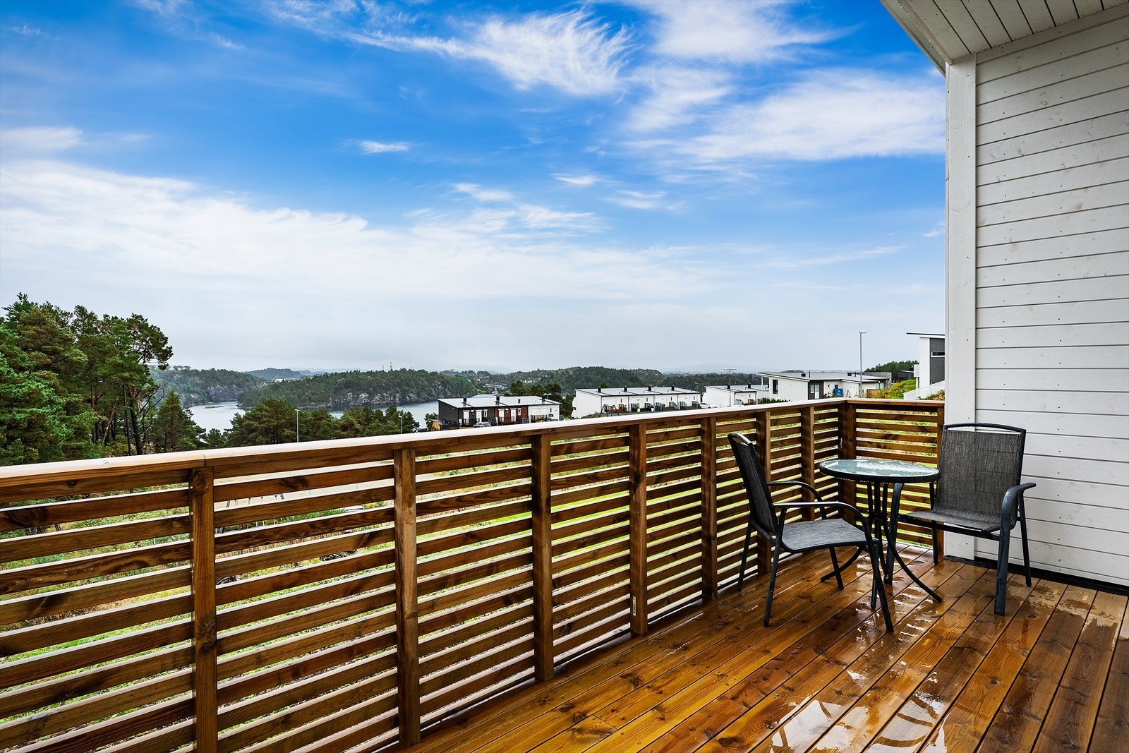 Fin utsikt Galleribilde