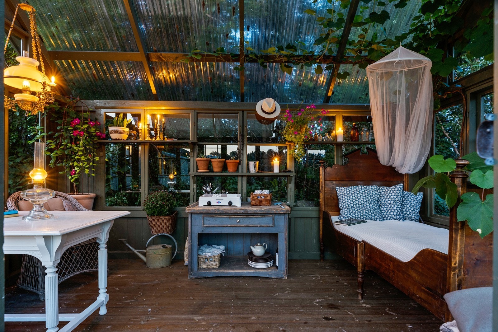 Kveldsstemning i drivhuset. Galleribilde