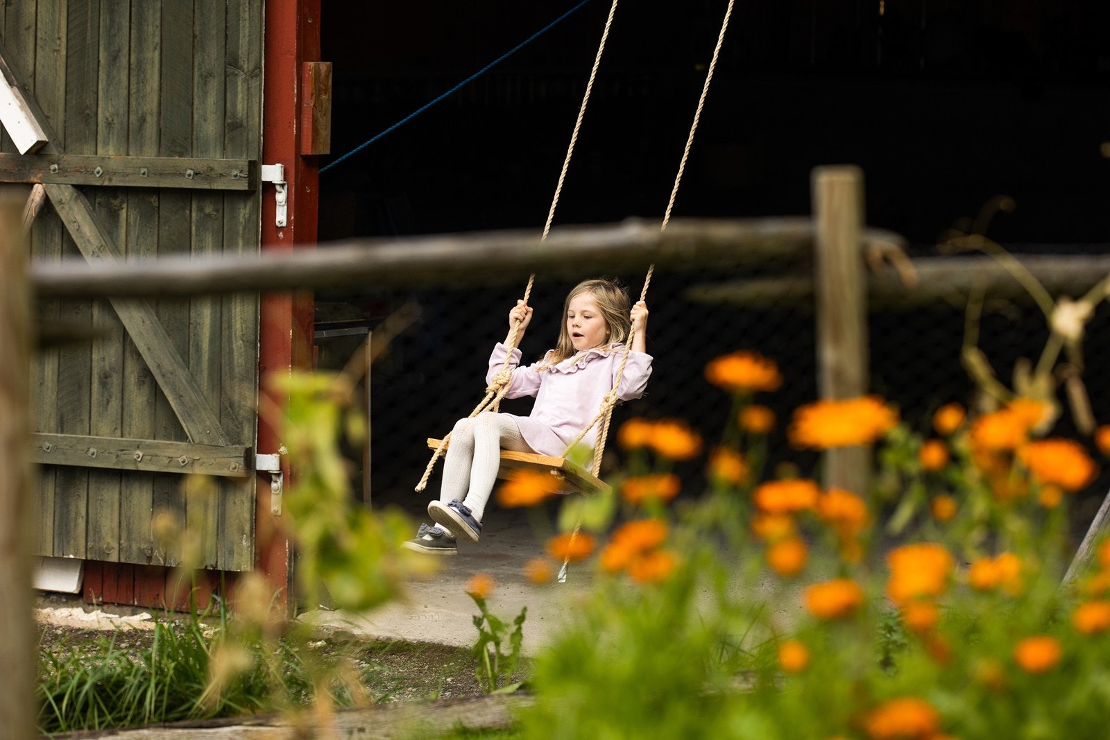 Se flere stemningsbilder bakerst i bildeserien! Galleribilde