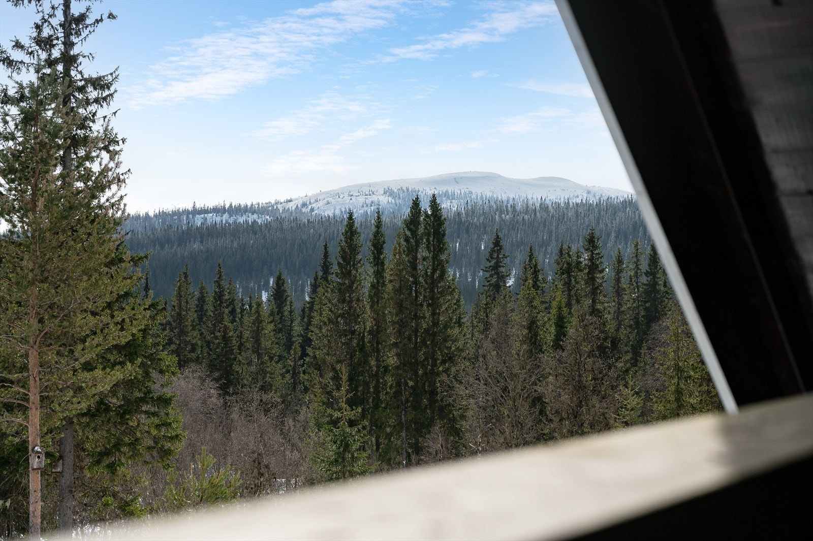 Flott utsyn mot skogkledde åser og fjell fra verandaen i loftetasjen. Galleribilde