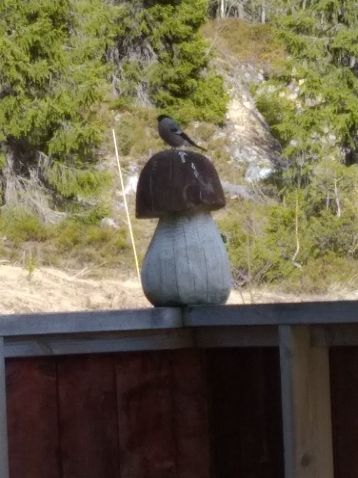 Selgers' private bilde. Galleribilde