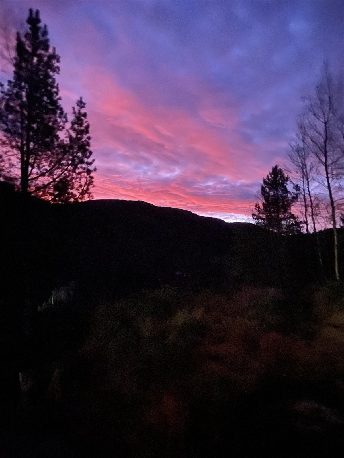 Morgenstemning Galleribilde