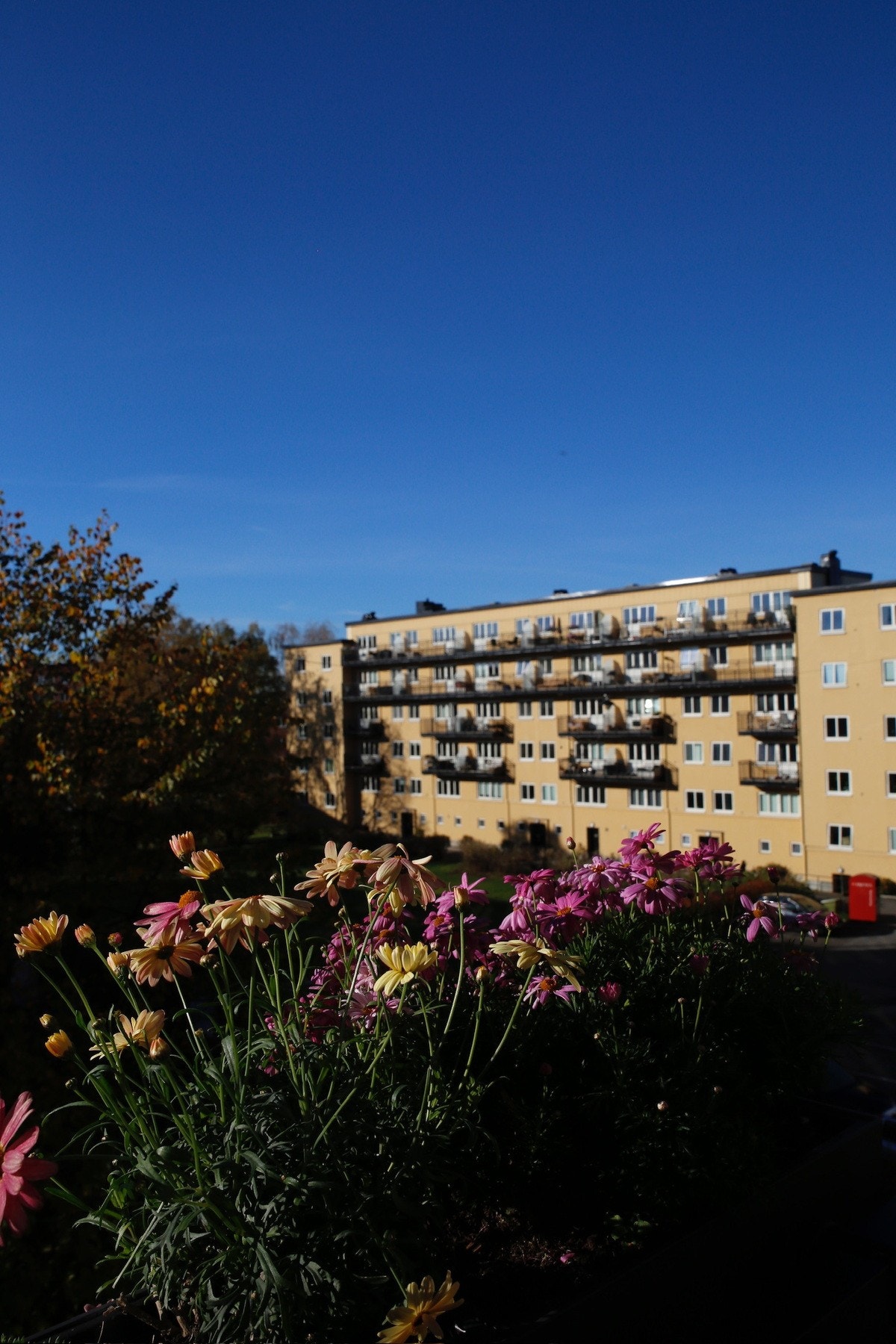 Nydelig, åpent utsyn fra balkongen Galleribilde