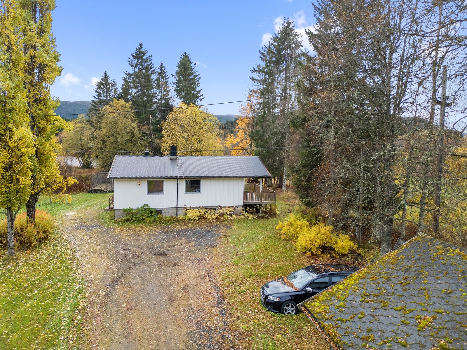 Velkommen til visning! Galleribilde