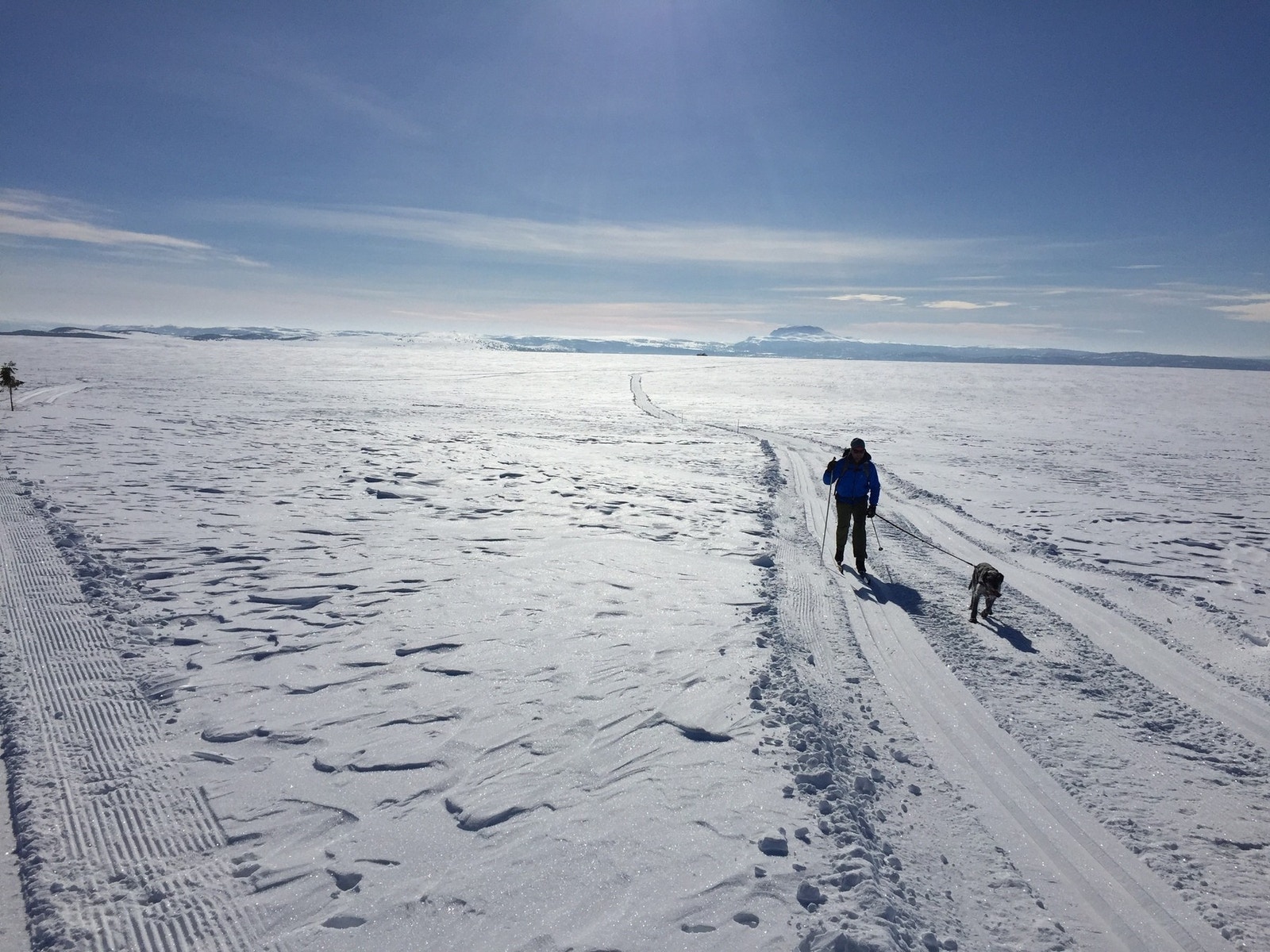 Vakre vidder Galleribilde