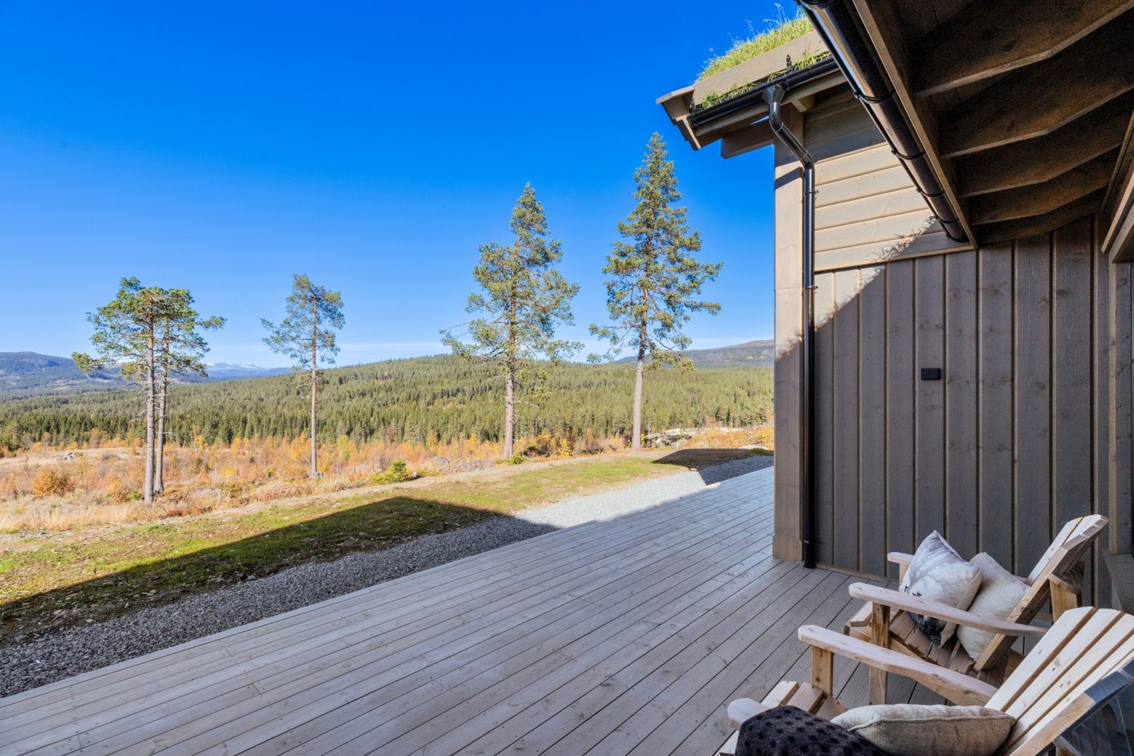 Samle familien til hyggelige utestunder Galleribilde